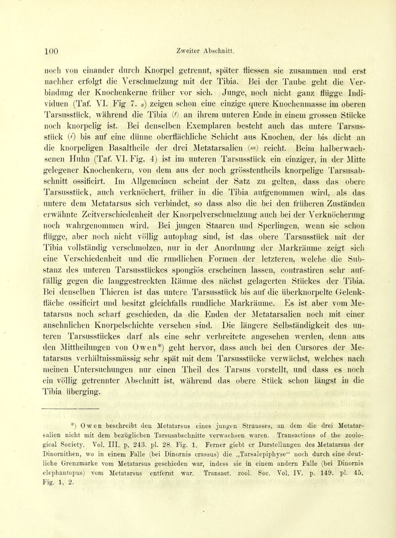 noch von einander durch Knorpel getrennt, später fliessen sie zusammen und erst nachher erfolgt die Verschmelzung mit der Tibia. Bei der Taube geht die Ver- bindung der Knochenkerne früher vor sich. Junge, noch nicht ganz flügge Indi- viduen (Taf. VI. Fig 7. s) zeigen schon eine einzige quere Knochenmasse im oberen Tarsusstück, während die Tibia (ß) an ihrem unteren Ende in einem grossen Stücke noch knorpelig ist. Bei denselben Exemplaren besteht auch das untere Tarsus- stück (0 bis auf eine dünne oberflächliche Schicht aus Knochen, der bis dicht an die knorpeligen Basaltheile der drei Metatarsalien im) reicht. Beim halberwach- senen Huhn (Taf. VI. Fig. 4) ist im unteren Tarsusstück ein einziger, in der Mitte gelegener Knochenkern, von dem aus der noch grösstentheils knorpelige Tarsusab- schnitt ossiticirt. Im Allgemeinen scheint der Satz zu gelten, dass das obere Tarsusstück, auch verknöchert, früher in die Tibia aufgenommen wird, als das untere dem Metatarsus sich verbindet, so dass also die bei den früheren Zuständen erwähnte Zeitverschiedenheit der Knorpelverschmelzung auch bei der Verknöcherung noch wahrgenommen wird. Bei jungen Staaren und Sperlingen, wenn sie schon flügge, aber noch nicht völlig autophag sind, ist das obere Tarsusstück mit der Tibia vollständig verschmolzen, nur in der Anordnung der Markräume zeigt sich eine Verschiedenheit und die rundlichen Formen der letzteren, welche die Sub- stanz des unteren Tarsusstückes spongiös erscheinen lassen, contrastiren sehr auf- fällig gegen die langgestreckten Räume des nächst gelagerten Stückes der Tibia. Bei denselben Thieren ist das untere Tarsusstück bis auf die überknorpelte Gelenk- fläche ossiticirt und besitzt gleichfalls rundliche Markräume. Es ist aber vom Me- tatarsus noch scharf geschieden, da die Enden der Metatarsalien noch mit einer ansehnlichen Knorpelschichte versehen sind. Die längere Selbständigkeit des un- teren Tarsusstückes darf als eine sehr verbreitete angesehen werden, denn aus den Mittheilungen von Owen*) geht hervor, dass auch bei den Cursores der Me- tatarsus verhältnissmässig sehr spät mit dem Tarsusstücke verwächst, welches nach meinen Untersuchungen nur einen Theil des Tarsus vorstellt, und dass es noch ein völlig getrennter Abschnitt ist, während das obere Stück schon längst in die Tibia überging. *) Owen beschreibt den Metatarsus eines jungen Strausses, an dem die drei Metatar- salien nicht mit dem bezüglichen Tarsusabschnitte verwachsen waren. Transaclions of the zoolo- gical Society. Vol. III. p. 243. pl. 28. Fig. 1. Ferner giebt er Darstellungen des Metatarsus der Dinornithen, wo in einem Falle (bei Dinornis erassus) die „Tarsalepiphyse noch durch eine deut- liche Grenzmarke vom Metatarsus geschieden war, indess sie in einem andern Falle (bei Dinornis elephantopus) vom Metatarsus entfernt war. Transact. zool. Soc. Vol. IV. p. 149. pl. 45. Fig. 1, 2.