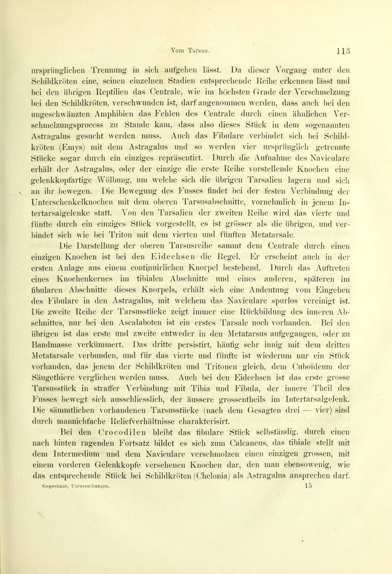 ursprünglichen Trennung in sich aufgehen lässt. Da dieser Vorgang unter den Schildkröten eine, seinen einzelnen Stadien entsprechende Reihe erkennen lässt und bei den übrigen Reptilien das Centrale, wie im höchsten Grade der Verschmelzung bei den Schildkröten, verschwunden ist, darf angenommen werden, dass auch bei den ungeschwänzten Amphibien das Fehlen des Centrale durch einen ähnlichen Ver- schmelzungsprocess zu Stande kam, dass also dieses Stück in dem sogenannten Astragalus gesucht werden inuss. Auch das Fibulare verbindet sich bei Schild- kröten (Emys) mit dem Astragalus und so werden vier ursprünglich getrennte Stücke sogar durch ein einziges repräsentirt. Durch die Aufnahme des Naviculare erhält der Astragalus, oder der einzige die erste Reihe vorstellende Knochen eine gelenkkopfartige Wölbung, um welche sich die übrigen Tarsalien lagern und sich an ihr bewegen. Die Bewegung des Fusses findet bei der festen Verbindung der Unterschenkelknochen mit dem oberen Tarsusabsclmitte, vornehmlich in jenem In- tertarsalgelenke statt. Von den Tarsalien der zweiten Reihe wird das vierte und fünfte durch ein einziges Stück vorgestellt, es ist grösser als die übrigen, und ver- bindet sich wie bei Triton mit dem vierten und fünften Metatarsale. Die Darstellung der oberen Tarsusreihe sammt dem Centrale durch einen einzigen Knochen ist bei den Eidechsen die Regel. Er erscheint auch in der ersten Anlage aus einem continuirlichen Knorpel bestehend. Durch das Auftreten eines Knochenkernes im tibialen Abschnitte und eines anderen, späteren im tibularen Abschnitte dieses Knorpels, erhält sich eine Andeutung vom Eingehen des Fibulare in den Astragalus, mit welchem das Naviculare spurlos vereinigt ist. Die zweite Reihe der Tarsusstücke zeigt immer eine Rückbildung des inneren Ab- schnittes, nur bei den Ascalaboten ist ein erstes Tarsale noch vorhanden. Bei den übrigen ist das erste und zweite entweder in den Metatarsus aufgegangen, oder zu Bandmasse verkümmert. Das dritte persistirt, häufig sehr innig mit dem dritten Metatarsale verbunden, und für das vierte und fünfte ist wiederum nur ein Stück vorhanden, das jenem der Schildkröten und Tritonen gleich, dem Cuboideum der Säugethiere verglichen werden muss. Auch bei den Eidechsen ist das erste grosse Tarsusstück in straffer Verbindung mit Tibia und Fibula, der innere Theil des Fusses bewegt sich ausschliesslich, der äussere grossentheils im Intertarsalgelenk. Die sämmtlichen vorhandenen Tarsusstücke (nach dem Gesagten drei — vier) sind durch mannichfache Reliefverhältnisse charakterisirt. Bei den Crocodilen bleibt das fibulare Stück selbständig, durch einen nach hinten ragenden Fortsatz bildet es sich zum Calcaneus, das tibiale stellt mit dem Intermedium und dem Naviculare verschmolzen einen einzigen grossen, mit einem vorderen Gelenkkopfe versehenen Knochen dar, den man ebensowenig, wie das entsprechende Stück bei Schildkröten (Chelonia) als Astragalus ansprechen darf. Gegenbaiir, Untersuchungen. 15