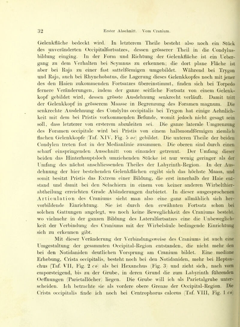 Gelenkfläche bedeckt wird. In letzterem Theile besteht also noch ein Stück des unveränderten Occipitalfortsatzes, dessen grösserer Theil in die Condylus- bildung einging. In der Form und Richtung der Gelenkfläche ist ein Ueber- gang zu dem Verhalten bei Scymnus zu erkennen; die dort plane Fläche ist aber bei Raja zu einer fast sattelförmigen umgebildet. Während bei Trygon und Raja, auch bei Rhynchobatus, die Lagerung dieses Gelenkkopfes noch mit jener des den Haien zukommenden Fortsatzes übereinstimmt, finden sich bei Torpedo fernere Veränderungen, indem der ganze seitliche Fortsatz von einem Gelenk- kopf gebildet wird, dessen grösste Ausdehnung senkrecht verläuft. Damit tritt der Gelenkkopf in grösserem Maasse in Begrenzung des Foramen magnum. Die senkrechte Ausdehnung des Condylus occipitalis bei Trygon hat einige Aehnlich- keit mit dem bei Pristis vorkommenden Befunde, womit jedoch nicht gesagt sein soll, dass letzterer von ersterem abzuleiten sei. Die ganze laterale Umgrenzung des Foramen occipitale wird bei Pristis von einem halbmondförmigen ziemlich flachen Gelenkkopfe (Taf. XIV, Fig. b oc) gebildet. Die unteren Theile der beiden Condylen treten fast in der Medianlinie zusammen. Die oberen sind durch einen scharf einspringenden Ausschnitt von einander getrennt. Der Umfang dieser beiden das Hinterhauptsloch umziehenden Stücke ist nur wenig geringer als der Umfang des nächst anschliessenden Theiles der Labyrinth-Region. In der Aus- dehnung der hier bestehenden Gelenkflächen ergibt sich das höchste Maass, und somit besitzt Pristis das Extrem einer Bildung, die erst innerhalb der Haie ent- stand und damit bei den Selachiern in einem von keiner anderen Wirbelthier- abtheilung erreichten Grade Abänderungen darbietet. In dieser ausgesprochenen Articulation des Craniums sieht man also eine ganz allmählich sich her- vorbildende Einrichtung. Sie ist durch den erwähnten Fortsatz schon bei solchen Gattungen angelegt, wo noch keine Beweglichkeit des Craniums besteht, wo vielmehr in der ganzen Bildung des Lateralfortsatzes eine die Unbeweglich- keit der Verbindung des Craniums mit der Wirbelsäule bedingende Einrichtung' sich zu erkennen gibt. Mit dieser Veränderung der Verbindungsweise des Craniums ist auch eine Umgestaltung der gesammten Occipital-Region entstanden, die nicht mehr den bei den JNotidaniden deutlichen Vorsprung am Cranium bildet. Eine mediane Erhebung, Crista occipitalis, besteht noch bei den Notidaniden, mehr bei Heptan- chus (Taf. VII, Fig. 2 cd) als bei Hexanchus (Fig. 3) und zieht sich, nach vorn emporsteigend, bis zu der Grube, in deren Grund die zum Labyrinth führenden Oeffhungen (Parietallöcher) liegen. Die Grube will ich als Parietalgrube unter- scheiden. Ich betrachte sie als vordere obere Grenze der Occipital-Region. Die Crista occipitalis finde ich noch bei Centrophorus calceus (Taf. VIII, Fig. 1 co)