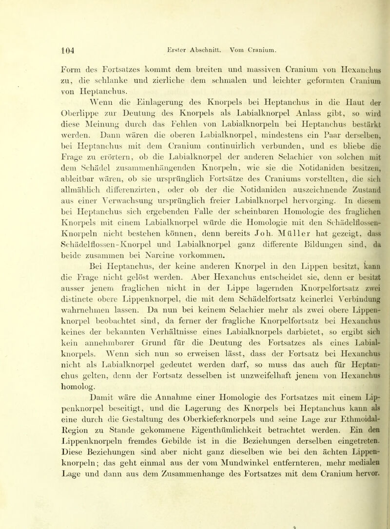 Form des Fortsatzes kommt dem breiten und massiven Cranium von Hexanchus zu, die schlanke und zierliche dem schmalen und leichter geformten Cranium von Heptanchus. Wenn die Einlagerung des Knorpels bei Heptanchus in die Haut der Oberlippe zur Deutung des Knorpels als Labialknorpel Anlass gibt, so wird diese Meinung durch das Fehlen von Labialknorpeln bei Heptanchus bestärkt werden. Dann wären die oberen Labialknorpel, mindestens ein Paar derselben, bei Heptanchus mit dem Cranium continuirlich verbunden, und es bliebe die Frage zu erörtern, ob die Labialknorpel der anderen Selachier von solchen mit dem Schädel zusammenhängenden Knorpeln, wie sie die Notidaniden besitzen, ableitbar wären, ob sie ursprünglich Fortsätze des Craniums vorstellten, die sich allmählich differenzirten, oder ob der die Notidaniden auszeichnende Zustand aus einer Verwachsung ursprünglich freier Labialknorpel hervorging. In diesem bei Heptanchus sich ergebenden Falle der scheinbaren Homologie des fraglichen Knorpels mit einem Labialknorpel würde die Homologie mit den Schädelfiossen- Knorpeln nicht bestehen können, denn bereits Joh. Müller hat gezeigt, dass Schädelnossen-Knorpel und Labialknorpel ganz differente Bildungen sind, da beide zusammen bei Narcine vorkommen. Bei Heptanchus, der keine anderen Knorpel in den Lippen besitzt, kann die Frage nicht gelöst werden. Aber Hexanchus entscheidet sie, denn er besitzt ausser jenem fraglichen nicht in der Lippe lagernden Knorpelfortsatz zwei distincte obere Lippenknorpel, die mit dem Schädelfortsatz keinerlei Verbindung wahrnehmen lassen. Da nun bei keinem Selachier mehr als zwei obere Lippen- knorpel beobachtet sind, da ferner der fragliche Knorpelfortsatz bei Hexanchus keines der bekannten Verhältnisse eines Labialknorpels darbietet, so ergibt sich kein annehmbarer Grund für die Deutung des Fortsatzes als eines Labial- knorpels. Wenn sich nun so erweisen lässt, dass der Fortsatz bei Hexanchus nicht als Labialknorpel gedeutet werden darf, so muss das auch für Heptan- chus gelten, denn der Fortsatz desselben ist unzweifelhaft jenem von Hexanchus homolog. Damit wäre die Annahme einer Homologie des Fortsatzes mit einem Lip- penknorpel beseitigt, und die Lagerung des Knorpels bei Heptanchus kann als eine durch die Gestaltung des Oberkieferknorpels und seine Lage zur Ethmoidal- Itegion zu Stande gekommene Eigenthümlichkeit betrachtet werden. Ein den Lippenknorpeln fremdes Gebilde ist in die Beziehungen derselben eingetreten. Diese Beziehungen sind aber nicht ganz dieselben wie bei den ächten Lippen- knorpeln; das geht einmal aus der vom Mundwinkel entfernteren, mehr medialen Lage und dann aus dem Zusammenhange des Fortsatzes mit dem Cranium hervor.