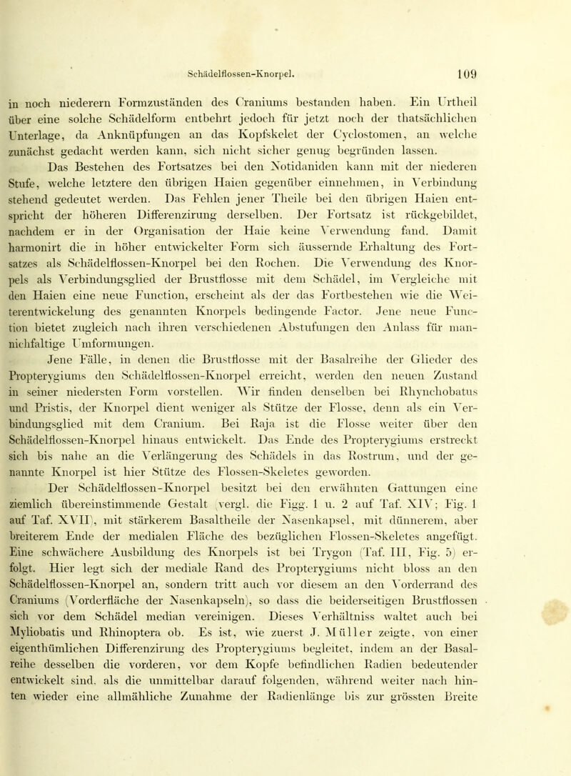 in noch niederem Formzuständen des Craniums bestanden haben. Ein Urtheil über eine solche Schädelform entbehrt jedoch für jetzt noch der thatsächlichen Unterlage, da Anknüpfungen an das Kopfskelet der Cyclostomen, an welche zunächst gedacht werden kann, sich nicht sicher genug begründen lassen. Das Bestehen des Fortsatzes bei den Notidaniden kann mit der niederen Stufe, welche letztere den übrigen Haien gegenüber einnehmen, in Verbindung stehend gedeutet werden. Das Fehlen jener Theile bei den übrigen Haien ent- spricht der höheren Differenzirung derselben. Der Fortsatz ist rückgebildet, nachdem er in der Organisation der Haie keine Verwendung fand. Damit harmonirt die in höher entwickelter Form sich äussernde Erhaltung des Fort- satzes als Schädelnossen-Knorpel bei den Rochen. Die Verwendung des Knor- pels als Verbindungsglied der Brustflosse mit dem Schädel, im Vergleiche mit den Haien eine neue Function, erscheint als der das Fortbestehen wie die Wei- terentwickelung des genannten Knorpels bedingende Factor. Jene neue Func- tion bietet zugleich nach ihren verschiedenen Abstufungen den Anlass für man- nichfaltige Umformungen. Jene Fälle, in denen die Brustflosse mit der Basalreihe der Glieder des Propterygiums den Schädelflossen-Knorpel erreicht, werden den neuen Zustand in seiner niedersten Form vorstellen. Wir finden denselben bei Rhynchobatus und Pristis, der Knorpel dient weniger als Stütze der Flosse, denn als ein Ver- bindungsglied mit dem Cranium. Bei Raja ist die Flosse weiter über den Schädelflossen-Knorpel hinaus entwickelt. Das Ende des Propterygiums erstreckt sich bis nahe an die Verlängerung des Schädels in das Rostrum, und der ge- nannte Knorpel ist hier Stütze des Flossen-Skeletes geworden. Der Schädelflossen-Knorpel besitzt bei den erwähnten Gattungen eine ziemlich übereinstimmende Gestalt (vergL die Figg. 1 u. 2 auf Taf. XIV; Fig. 1 auf Taf. XVII), mit stärkerem Basaltheile der Nasenkapsel, mit dünnerem, aber breiterem Ende der medialen Fläche des bezüglichen Flossen-Skeletes angefügt. Eine schwächere Ausbildung des Knorpels ist bei Trygon (Taf. III, Fig. 5) er- folgt. Hier legt sich der mediale Rand des Propterygiums nicht bloss an den Schädelflossen-Knorpel an, sondern tritt auch vor diesem an den Vorderrand des Craniums (Vorderfläche der Nasenkapseln), so dass die beiderseitigen Brustflossen sich vor dem Schädel median vereinigen. Dieses Verhältniss waltet auch bei Myliobatis und Rhinoptera ob. Es ist, wie zuerst J. Müller zeigte, von einer eigenthümlichen Differenzirung des Propterygiums begleitet, indem an der Basal- reihe desselben die vorderen, vor dem Kopfe befindlichen Radien bedeutender entwickelt sind, als die unmittelbar darauf folgenden, während weiter nach hin- ten wieder eine allmähliche Zunahme der Radienlänge bis zur grössten Breite