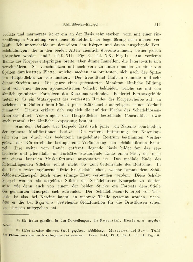 oculata und marmorata ist er ein an der Basis sehr starker, vorn mit einer rin- nenförmigen Vertiefung versehener Skelettheil, der bogenförmig nach aussen ver- läuft. Ich unterscheide an demselben den Körper und davon ausgehende Fort satzbildungen, die in den beiden Arten ziemlich übereinstimmen, bisher jedoch übersehen worden sind*) (Taf. XIII, Fig. 3; Taf. XX, Fig. 1). Am vorderen Rande des Körpers entspringen breite, aber dünne Lamellen, die lateralwärts sich verschmälern. Sie verschmelzen mit nach vorn zu unter einander zu einer von Spalten durchsetzten Platte, welche, median am breitesten, sich nach der Spitze des Hauptstückes zu verschmälert. Der freie Rand läuft in schmale und sehr dünne Streifen aus. Die ganze einer gefensterten Membran ähnliche Bildung wird von einer derben aponeurotischen Schicht bekleidet, welche sie mit den ähnlich gestalteten Fortsätzen des Rostrums verbindet. Beiderlei Fortsatzgebilde treten so als ein Stützapparat des vordersten Randes der Körperscheibe auf, an welchem ein Gallertröhren-Bündel jener Stützlamelle aufgelagert seinen Verlauf nimmt**). Daraus erklärt sich zugleich die auf der Fläche des Schädelflossen- Knorpels durch Vorspringen des Hauptstückes bestehende Concavität, sowie auch ventral eine ähnliche Anpassung besteht. Aus dem Befunde bei Torpedo lässt sich jener von Narcine beurtheilen, der grössere Modificationen besitzt. Die weitere Entfernung der Nasenkap- seln von der durch das bedeutend ausgedehnte Rostrum bestimmten Vorder- gränze der Körperscheibe bedingt eine Veränderung der Schädelfiossen-Knor- pel. Ihre weiter vom Rande entfernt liegende Basis bildet für das ver- breiterte und gleichfalls in Fortsätze auslaufende Ende einen Stiel, der noch mit einem lateralen Muskelfortsatze ausgestattet ist. Das mediale Ende des fortsatztragenden Stückes reicht nicht bis zum Seitenrande des Rostrums. In die Lücke treten ergänzende freie Knorpelstückchen, welche sammt dem Schä- delfiossen-Knorpel durch eine sehnige Haut verbunden werden. Diese Schalt- knorpel werden als abgelöste Stücke des Schädelfiossen-Knorpels zu deuten sein, wie denn auch von einem der beiden Stücke ein Fortsatz dem Stiele des genannten Knorpels sich zuwendet. Der Schädelflossen-Knorpel von Tor- pedo ist also bei Narcine lateral in mehrere Theile getrennt worden, nach- dem er die bei Raja u. a. bestehende Stützfunction für die Brustflossen schon bei Torpedo aufgegeben hat. *) Sie fehlen gänzlich in den Darstellungen, die Rosenthal, Henle u. A. gegeben haben. **) Siehe darüber die von Sa vi gegebene Abbildung. Matteucci und Savi, Traite des Phenomenes electro-physiologiques des animaux. Paris, 1844, PI. I. Fig. 1, PI. III, Fig. 10.