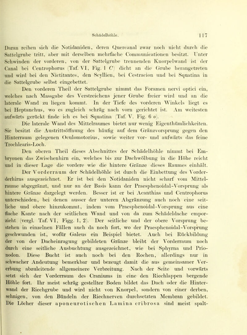 Daran reihen sich die Notidaniden, deren Quercanal zwar noch nicht durch die Sattelgrube tritt, aber mit derselben mehrfache Communicationen besitzt. Unter Schwinden der vorderen, von der Sattelgrube trennenden Knorpel wand ist der Canal bei Centrophorus (Taf. VI, Fig. 1 C) dicht an die Grube herangetreten und wird bei den Nictitantes, den Scyllien, bei Cestracion und bei Squatina in die Sattelgrube selbst eingebettet. Den vorderen Theil der Sattelgrube nimmt das Foramen nervi optici ein, welches nach Massgabe des Verstreichens jener Grube freier wird und an die laterale Wand zu liegen kommt. In der Tiefe des vorderen Winkels liegt es bei Heptanchus, wo es zugleich schräg nach vorn gerichtet ist. Am weitesten aufwärts gerückt finde ich es bei Squatina (Taf. V, Fig. 6 o). Die laterale Wand des Mittelraumes bietet nur wenig Eigentümlichkeiten. Sie besitzt die Austrittsöffnung des häufig auf dem Gränzvorsprung gegen den Hinterraum gelegenen Oculomotorius, sowie weiter vor- und aufwärts das feine Trochlearis-Loch. Den oberen Theil dieses Abschnittes der Schädelhöhle nimmt bei Em- bryonen das Zwischenhirn ein, welches bis zur Dachwölbimg in die Höhe reicht und in dieser Lage die vordere wie die hintere Gränze dieses Raumes einhält. Der Vorderraum der Schädelhöhle ist durch die Einbettung des Vorder- derhirns ausgezeichnet. Er ist bei den Notidaniden nicht scharf vom Mittel- raume abgegränzt, und nur an der Basis kann der Praesphenoidal-Vorsprung als hintere Gränze dargelegt werden. Besser ist er bei Acanthias und Centrophorus unterschieden, bei denen ausser der unteren Abgränzung auch noch eine seit- liche und obere hinzukommt, indem vom Praesphenoidal-Vorsprung aus eine flache Kante nach der seitlichen Wand und von da zum Schädeldache empor- zieht (vergl. Taf. VI, Figg. 1, 2). Der seitliche und der obere Vorsprung be- stehen in einzelnen Fällen auch da noch fort, wo der Praesphenoidal-Vorsprung geschwunden ist, wofür Galeus ein Beispiel bietet. Auch bei Rückbildung der von der Dacheinragung gebildeten Gränze bleibt der Vorderraum noch durch eine seitliche Ausbuchtung ausgezeichnet, wie bei Sphyrna und Prio- nodon. Diese Bucht ist auch noch bei den Rochen, allerdings nur in schwacher Andeutung bemerkbar und bezeugt damit die aus gemeinsamer Ver- erbung abzuleitende allgemeinere Verbreitung. Nach der Seite und vorwärts setzt sich der Vorderraum des Craniums in eine den Riechlappen bergende Höhle fort. Ihr meist schräg gestellter Boden bildet das Dach oder die Hinter- wand der Riechgrube und wird nicht von Knorpel, sondern von einer derben, sehnigen, von den Bündeln der Riechnerven durchsetzten Membran gebildet. Die Löcher dieser aponeurotischen Lamina cribrosa sind meist spalt-