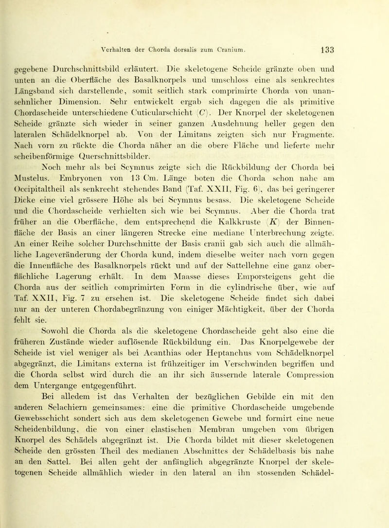 gegebene Durchschnittsbild erläutert. Die skeletogene Scheide gränzte oben und unten an die Oberfläche des Basalknorpels und umschloss eine als senkrechtes Längsband sich darstellende, somit seitlich stark comprimirte Chorda von unan- sehnlicher Dimension. Sehr entwickelt ergab sich dagegen die als primitive Chordascheide unterschiedene Cuticularschicht (C). Der Knorpel der skeletogenen Scheide gränzte sich wieder in seiner ganzen Ausdehnung heller gegen den lateralen Schädelknorpel ab. Von der Limitans zeigten sich nur Fragmente. Nach vorn zu rückte die Chorda näher an die obere Fläche und lieferte mehr scheibenförmige Querschnittsbilder. Noch mehr als bei Scymnus zeigte sich die Rückbildung der Chorda bei Mustelus. Embryonen von 13 Cm. Länge boten die Chorda schon nahe am Occipitaltheil als senkrecht stehendes Band (Taf. XXII, Fig. 6), das bei geringerer Dicke eine viel grössere Höhe als bei Scymnus besass. Die skeletogene Scheide und die Chordascheide verhielten sich wie bei Scymnus. Aber die Chorda trat früher an die Oberfläche, dem entsprechend die Kalkkruste (K) der Binnen- fläche der Basis an einer längeren Strecke eine mediane Unterbrechung zeigte. An einer Reihe solcher Durchschnitte der Basis cranii gab sich auch die allmäh- liche Lageveränderung der Chorda kund, indem dieselbe weiter nach vorn gegen die Innenfläche des Basalknorpels rückt und auf der Sattellehne eine ganz ober- flächliche Lagerung erhält. In dem Maasse dieses Emporsteigens geht die Chorda aus der seitlich comprimirten Form in die cylindrische über, wie auf Taf. XXII, Fig. 7 zu ersehen ist. Die skeletogene Scheide findet sich dabei nur an der unteren Chorclabegränzung von einiger Mächtigkeit, über der Chorda fehlt sie. Sowohl die Chorda als die skeletogene Chordascheide geht also eine die früheren Zustände wieder auflösende Rückbildung ein. Das Knorpelgewebe der Scheide ist viel weniger als bei Acanthias oder Heptanchus vom Schädelknorpel abgegränzt, die Limitans externa ist frühzeitiger im Verschwinden begriffen und die Chorda selbst Avird durch die an ihr sich äussernde laterale Compression dem Untergange entgegenführt. Bei alledem ist das Verhalten der bezüglichen Gebilde ein mit den anderen Selachiern gemeinsames: eine die primitive Chordascheide umgebende Gewebsschicht sondert sich aus dem skeletogenen Gewebe und formirt eine neue Scheidenbildung, die von einer elastischen Membran umgeben vom übrigen Knorpel des Schädels abgegränzt ist. Die Chorda bildet mit dieser skeletogenen Scheide den grössten Theil des medianen Abschnittes der Schädelbasis bis nahe an den Sattel. Bei allen geht der anfänglich abgegränzte Knorpel der skele- togenen Scheide allmählich wieder in den lateral an ihn stossenden Schädel-