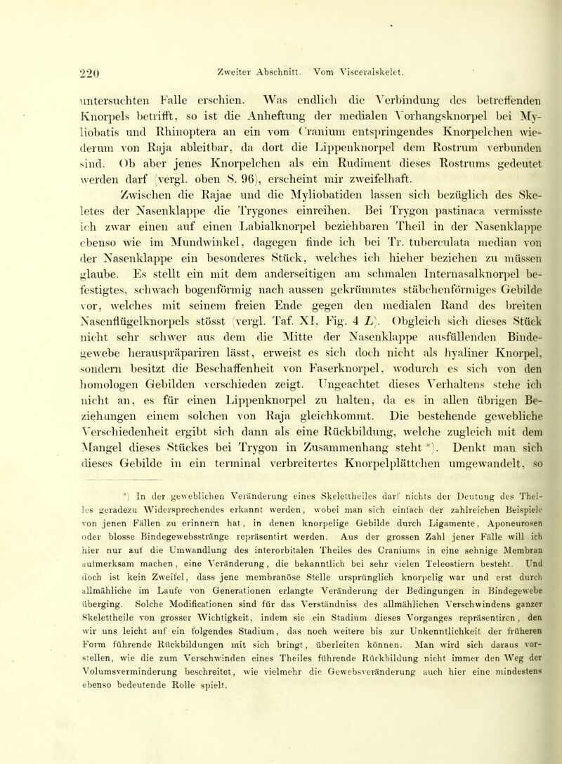 untersuchten Falle erschien. Was endlich die Verbindung des betreffenden Knorpels betrifft, so ist die Anheftung der medialen Yorhangsknorpel bei My- liobatis und Rhinoptera an ein vom Cranium entspringendes Knorpelchen wie- derum von Raja ableitbar, da dort die Lippenknorpel dem Rostrum verbunden sind. Ob aber jenes Knorpelchen als ein Rudiment dieses Rostrums gedeutet werden darf vergl. oben S. 96), erscheint mir zweifelhaft. Zwischen die Rajae und die Myliobatiden lassen sich bezüglich des Ske- letes der Nasenklappe die Trygones einreihen. Bei Trygon pastinaca vermisste ich zwar einen auf einen Labialknorpel beziehbaren Theil in der Nasenklappe ebenso wie im Mundwinkel, dagegen finde ich bei Tr. tuberculata median von der Nasenklappe ein besonderes Stück, welches ich hieher beziehen zu müssen glaube. Es stellt ein mit dem anderseitigen am schmalen Internasalknorpel be- festigtes, schwach bogenförmig nach aussen gekrümmtes stäbchenförmiges Gebilde vor, welches mit seinem freien Ende gegen den medialen Rand des breiten Nasenflügelknorpels stösst (vergl. Taf. XI, Fig. 4 L). Obgleich sich dieses Stück nicht sehr schwer aus dem die Mitte der Nasenklappe ausfüllenden Binde- gewebe herauspräpariren lässt, erweist es sich doch nicht als hyaliner Knorpel, sondern besitzt die Beschaffenheit von Faserknorpel, wodurch es sich von den homologen Gebilden verschieden zeigt. Ungeachtet dieses Verhaltens stehe ich nicht an, es für einen Lippenknorpel zu halten, da es in allen übrigen Be- ziehungen einem solchen von Raja gleichkommt. Die bestehende gewebliche Verschiedenheit ergibt sich dann als eine Rückbildung, welche zugleich mit dem Mangel dieses Stückes bei Trygon in Zusammenhang steht*). Denkt man sich dieses Gebilde in ein terminal verbreitertes Knorpelplättchen umgewandelt, so *') In der geweblichen Veränderung eines Skelettheiles darf nichts der Deutung des Thei- les geradezu Widersprechendes erkannt werden, wobei man sich einfach der zahlreichen Beispiele von jenen Fällen zu erinnern hat, in denen knorpelige Gebilde durch Ligamente, Aponeurosen oder blosse Bindegewebsstränge repräsentirt werden. Aus der grossen Zahl jener Fälle will ich hier nur auf die Umwandlung des interorbitalen Theiles des Craniums in eine sehnige Membran aulmerksam machen, eine Veränderung, die bekanntlich bei sehr vielen Teleostiern besteht. Und doch ist kein Zweifel, dass jene membranöse Stelle ursprünglich knorpelig war und erst durch allmähliche im Laufe von Generationen erlangte Veränderung der Bedingungen in Bindegewebe überging. Solche Modificationen sind für das Verständniss des allmählichen Verschwindens ganzer Skelettheile von grosser Wichtigkeit, indem sie ein Stadium dieses Vorganges repräsentiren, den wir uns leicht auf ein folgendes Stadium, das noch weitere bis zur Unkenntlichkeit der früheren Form führende Rückbildungen mit sich bringt, überleiten können. Man wird sich daraus vor- stellen, wie die zum Verschwinden eines Theiles führende Rückbildung nicht immer den Weg der Volumsverminderung beschreitet, wie vielmehr die Gewebsveränderung auch hier eine mindestens ebenso bedeutende Rolle spielt.