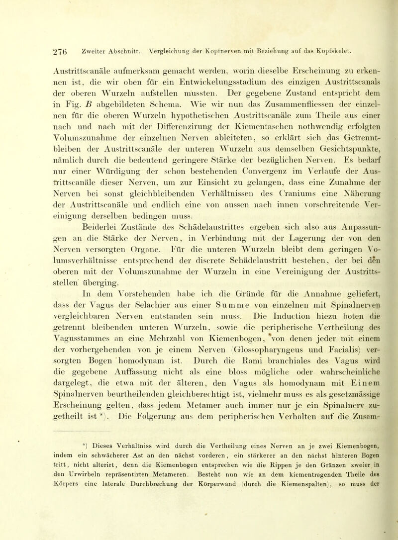 Austrittst anäle aufmerksam gemacht werden, worin dieselbe Erscheinung zu erken- nen ist. die wir oben für ein Entwickelungs.stadium des einzigen Austrittseanals der oberen Wurzeln aufstellen mussten. Der gegebene Zustand entspricht dem in Fig. B abgebildeten Schema. Wie wir nun das Zusammennicssen der einzel- nen für die oberen Wurzeln hypothetischen Austrittscanäle zum Theile aus einer nach und nach mit der Differenzirung der Kiementaschen nothwendig erfolgten Volumszunahme der einzelnen Nerven ableiteten, so erklärt sich das Getrennt- bleiben der Austrittscanäle der unteren Wurzeln aus demselben Gesichtspunkte, nämlich durch die bedeutend geringere Stärke der bezüglichen Nerven. Es bedarf nur einer Würdigung der schon bestehenden Convergenz im Verlaufe der Aus- trittscanäle dieser Nerven, um zur Einsicht zu gelangen, dass eine Zunahme der Nerven bei sonst gleichbleibenden Verhältnissen des Craniums eine Näherung der Austrittscanäle und endlich eine von aussen nach innen vorschreitende Ver- einigung derselben bedingen muss. Beiderlei Zustände des Schädelaustrittes ergeben sich also aus Anpassun- gen an die Stärke der Nerven, in Verbindung mit der Lagerung der von den Nerven versorgten Organe. Für die unteren Wurzeln bleibt dem geringen Yo- lumsverhältnisse entsprechend der discrete Schädelaustritt bestehen, der bei den oberen mit der Volumszunahme der Wurzeln in eine Vereinigung der Austritts- stellen überging. In dem Vorstehenden babe ich die Gründe für cÜe Annahme geliefert, dass der Vagus der Selachier aus einer Summe von einzelnen mit Spinalnerven vergleichbaren Nerven entstanden sein muss. Die Induction hiezu boten die getrennt bleibenden unteren W'urzeln, sowie die peripherische Vertheilung des Vagusstammes an eine Mehrzahl von Kiemenbogen, von denen jeder mit einem der vorhergehenden von je einem Nerven (Glossopharyngeus und Facialis) ver- sorgten Bogen homodynam ist. Durch die Rami branchiales des Vagus wird die gegebene Auffassung nicht als eine bloss mögliche oder wahrscheinliche dargelegt, die etwa mit der älteren, den Vagus als homodynam mit Einem Spinalnerven beurtheilenden gleichberechtigt ist, vielmehr muss es als gesetzmässige Erscheinung gelten, dass jedem Metamer auch immer nur je ein Spinalnerv zu- getheilt ist *). Die Folgerung aus dem peripherischen Verhalten auf die Zusam- *) Dieses Verhältniss wird durch die Vertheilung eines Nerven an je zwei Kiemenbogen, indem ein schwächerer Ast an den nächst vorderen, ein stärkerer an den nächst hinteren Bogen tritt, nicht alterirt, denn die Kiemenbogen entsprechen wie die Rippen je den Gränzen zweier in den Urwirbeln repräsentirten Metameren. Besteht nun wie an dem kiementragenden Theile des Körpers eine laterale Durchbrechung der Körperwand 'durch die Kiemenspalten), so muss der