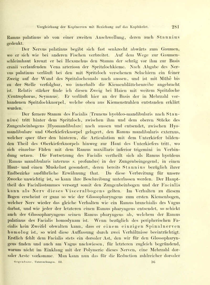 Ramus palatinus ab von einer zweiten Anschwellung, deren auch Stannius gedenkt. Der Nervus palatinus begibt sich fast senkrecht abwärts zum Gaumen, wo er sich wie bei anderen Fischen verbreitet. Auf dem Wege zur Gaumen- schleimhaut kreuzt er bei Hexanchus den Stamm der schräg vor ihm zur Basis cranii verlaufenden Vena arteriosa der Spritzlochkieme. Nach Abgabe des Ner- vus palatinus verläuft bei den mit Sprit/Joch versehenen Selachiern ein feiner Zweig auf der Wand des Spritzlochcanals nach aussen, und ist mit Mühe bis zu der Stelle verfolgbar, wo innerhalb die Kiemenblättchenreihe angebracht ist. Relativ stärker finde ich diesen Zweig bei Haien mit weitem Spritzloche (Centrophorus, Scymnus). Er verläuft hier an der Basis der in Mehrzahl vor- handenen Spritzlochknorpel. welche oben aus Kiemenstrahlen entstanden erklärt wurden. Der fernere Stamm des Facialis (Truncus hyoideo-mandibularis nach Stan- nius) tritt hinter dem Spritzloch, zwischen ihm und dem oberen Stücke des Zungenbeinbogens (Hyomandibulare) nach aussen und entsendet, zwischen Hyo- mandibulare und Oberkieferknorpel gelagert, den Ramus mandibularis externus, welcher quer über den hinteren, die Articulation mit dem Unterkiefer bilden- den Theil des Oberkieferknorpels hinweg zur Haut des Unterkiefers tritt, wo sich einzelne Fäden mit dem Ramus maxillaris inferior trigemini in Verbin- dung setzen. Die Fortsetzung des Facialis vertheilt sich als Ramus hyoideus (Ramus mandibularis internus s. profundus) in der Zungenbeingegend, in einen Haut- und einen Muskelast gesondert, deren bereits Stannius bezüglich ihrer Endbezirke ausführliche Erwähnung that. Da diese Verbreitung für unsere Zwecke unwichtig ist, so kann ihre Beschreibung unterlassen werden. Der Haupt- theil des Facialisstammes versorgt somit den Zungenbeinbogen und der Facialis kann als Nerv dieses Visceralbogens gelten. Im Verhalten zu diesem Bogen erscheint er ganz so wie der Glossopharyngeus zum ersten Kiemenbogen, welcher Nerv wieder das gleiche Verhalten wie ein Ramus branchialis des Vagus darbot, und wie jeder der letzteren einen Ramus pharyngeus entsendet, so schickt auch der Glossopharyngeus seinen Ramus pharyngeus ab, welchem der Ramus palatinus des Facialis homodynam ist. Wenn bezüglich des peripherischen Fa- cialis kein Zweifel obwalten kann, dass er einem einzigen Spinalnerven homolog ist, so wird diese Auffassung durch zwei Verhältnisse beeinträchtigt. Erstlich fehlt dem Facialis stets ein dorsaler Ast, den wir für den Glossopharyn- geus finden und auch am Vagus nachwiesen, für letzteren zugleich begründend, warum nicht im Einklang mit der Polymerie dieses Nerven, eine Mehrzahl dor- saler Aeste vorkomme. Man kann nun das für die Reduction zahlreicher dorsaler Gegenbau r, Untersuchungen. III. 36