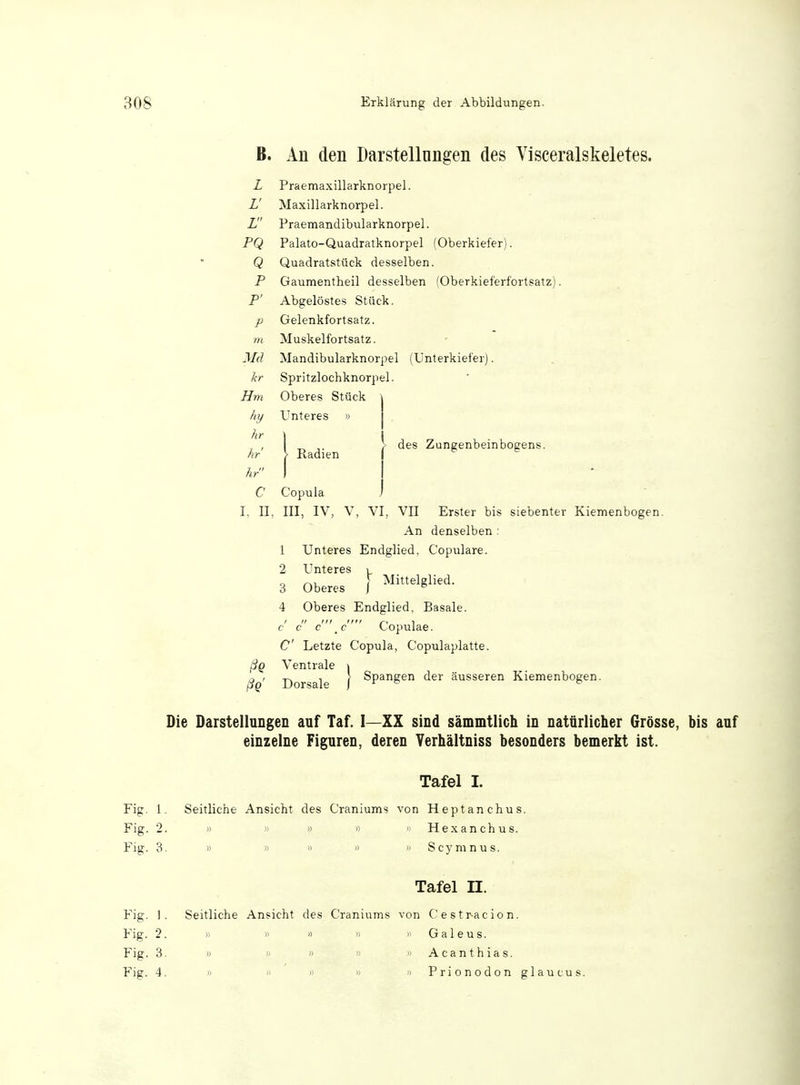 B. Au den Darstellungen des Visceralskeletes. L Praemaxillarknorpel. L' Maxillarknorpel. L Praemandibularknorpel. PQ Palato-Quadratknorpel (Oberkiefer). Q Quadratstück desselben. P Gaumentheil desselben (Oberkieferfortsatz). P' Abgelöstes Stück. p Gelenkfortsatz. m Muskelfortsatz. Md Mandibularknorpel (Unterkiefer). kr Spritzlochknorpel. Hm Oberes Stück hy Unteres » hr hr \ Radien des Zungenbeinbogens. /> xvauien hr C Copula I. II, III, IV, V, VI, VII Erster bis siebenter Kiemenbogen. An denselben : 1 Unteres Endglied, Copulare. 2 Unteres l „ ) Mittelglied. 3 Oberes j & 4 Oberes Endglied, Basale. c c c c Copulae. C Letzte Copula, Copulaplatte. ßg Ventrale > n , ^ , > Spangen der äusseren Kiemenbogen. pQ Dorsale J D Die Darstellungen auf Taf. I—XX sind sämmtlich in natürlicher Grösse, bis auf einzelne Figuren, deren Verhältniss besonders bemerkt ist. Tafel I. Fig. 1. Seitliche Ansicht des Craniums von Heptanchus. Fig. 2. » » » »  H e x a n ch u s. Fig. 3. » » » » » Scymnus. Tafel H. Fig. 1. Seitliche Ansicht des Craniums von Cestracion. Fig. 2. » » » » » Galeus. Fig. 3. » » » » » Acanthias. Fig. 4. » » » » » Prionodon glaucus.