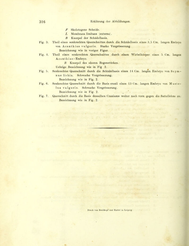F Skeletogene Scheide. L Membrana limitans (externa). B Knorpel der Schädelbasis. Fig. 3. Theil eines senkrechten Querschnittes durch die Schädelbasis eines 3,5 Cm. langen Embryo von Acanthias vulgaris. Starke Vergrösserung. Bezeichnung wie in voriger Figur. Fig. 4. Theil eines senkrechten Querschnittes durch einen Wirbelkörper eines 5 Cm. langen Acanthias - Embryo. B Knorpel des oberen Bogenstückes. Uebrige Bezeichnung wie in Fig 2. Fig. 5. Senkrechter Querschnitt durch die Schädelbasis eines 14 Cm. langen Embryo von Scym- nus lichia. Schwache Vergrösserung. Bezeichnung wie in Fig. 2. Fig. 6. Senkrechter Querschnitt durch die Basis cranii eines 13 Cm. langen Embryo von Muste- lus vulgaris. Schwache Vergrösserung. Bezeichnung wie in Fig. 2. Fig. 7. Querschnitt durch die Basis desselben Craniums weiter nach vorn gegen die Sattellehne zu. Bezeichnung wie in Fig. 2. Druck von Breitkopf und Härtel in Leipzig.