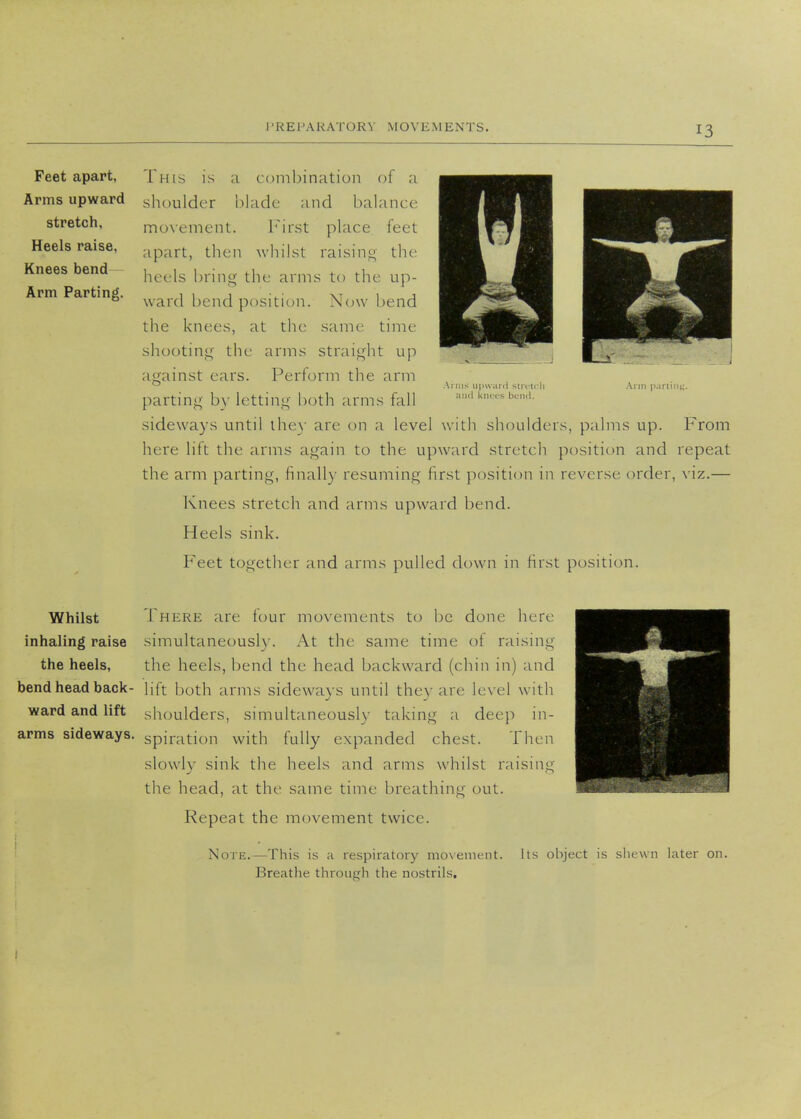 Feet apart, Arms upward stretch. Heels raise, Knees bend Arm Parting. This is a combination of a shoulder blade and balance movement. First place feet apart, then whilst raising the heels bring the arms to the up- ward bend position. Now bend the knees, at the same time shooting the arms straight up against ears. Perform the arm parting by letting both arms fall sideways until they arc on a level with shoulders, palms up. From here lift the arms again to the upward stretch position and repeat the arm parting, finally resuming first position in reverse order, viz.— Knees stretch and arms upward bend. Heels sink. Feet together and arms pulled down in first position. Ai ms upward stretch ;uj(l knees bend. Ann patting. Whilst inhaling raise the heels, bend head back- ward and lift arms sideways. There arc four movements to be done lure simultaneously. At the same time of raising the heels, bend the head backward (chin in) and lift both arms sideways until they are level with shoulders, simultaneously taking a deep in- spiration with fully expanded chest. Then slowly sink the heels and arms whilst raising the head, at the same time breathing out. Repeat the movement twice. Note.—This is a respiratory movement. Breathe through the nostrils. Its object is shewn later on.