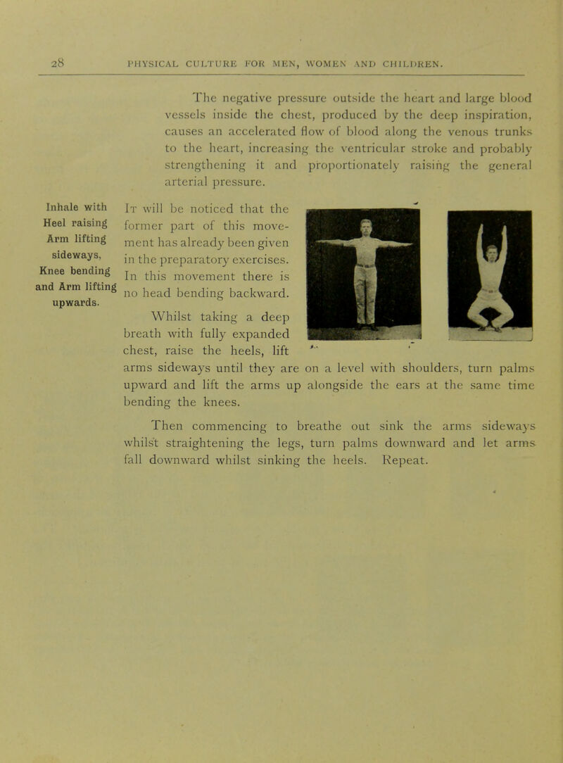 The negative pressure outside the heart and large blood vessels inside the chest, produced by the deep inspiration, causes an accelerated flow of blood along the venous trunks to the heart, increasing the ventricular stroke and probably strengthening it and proportionately raising the general arterial pressure. Inhale with Heel raising Arm lifting sideways, Knee bending It will be noticed that the former part of this move- ment has already been given in the preparatory exercises. In this movement there is and Arm lifting , , , ■■• , , , ° no head bending backward. upwards. Whilst taking a deep breath with fully expanded chest, raise the heels, lift arms sideways until they are on a level with shoulders, turn palrn^- upward and lift the arms up alongside the ears at the same time bending the knees. Then commencing to breathe out sink the arms sideways whilst straightening the legs, turn palms downward and let arms fall downward whilst sinking the heels. Repeat.