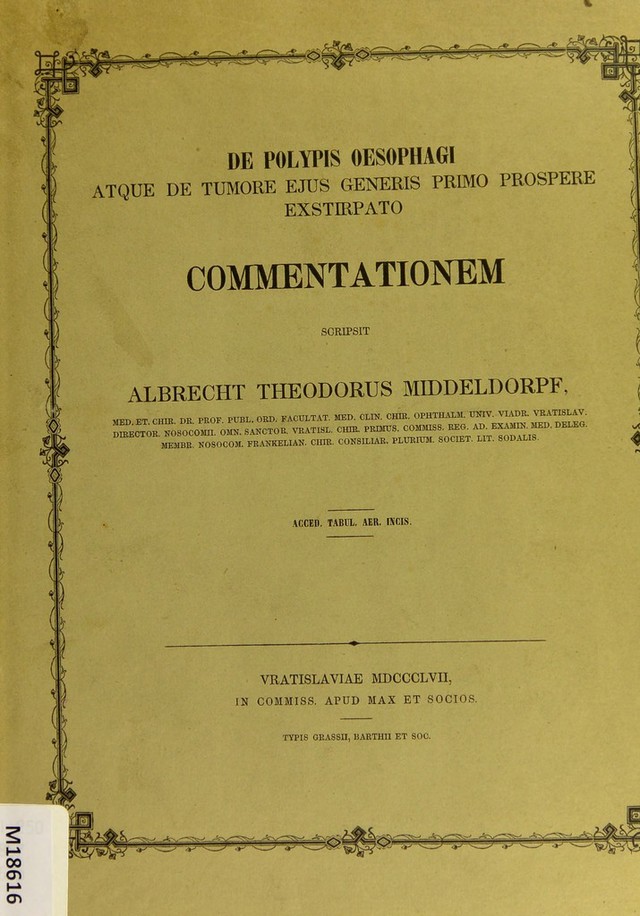 digitised image 1