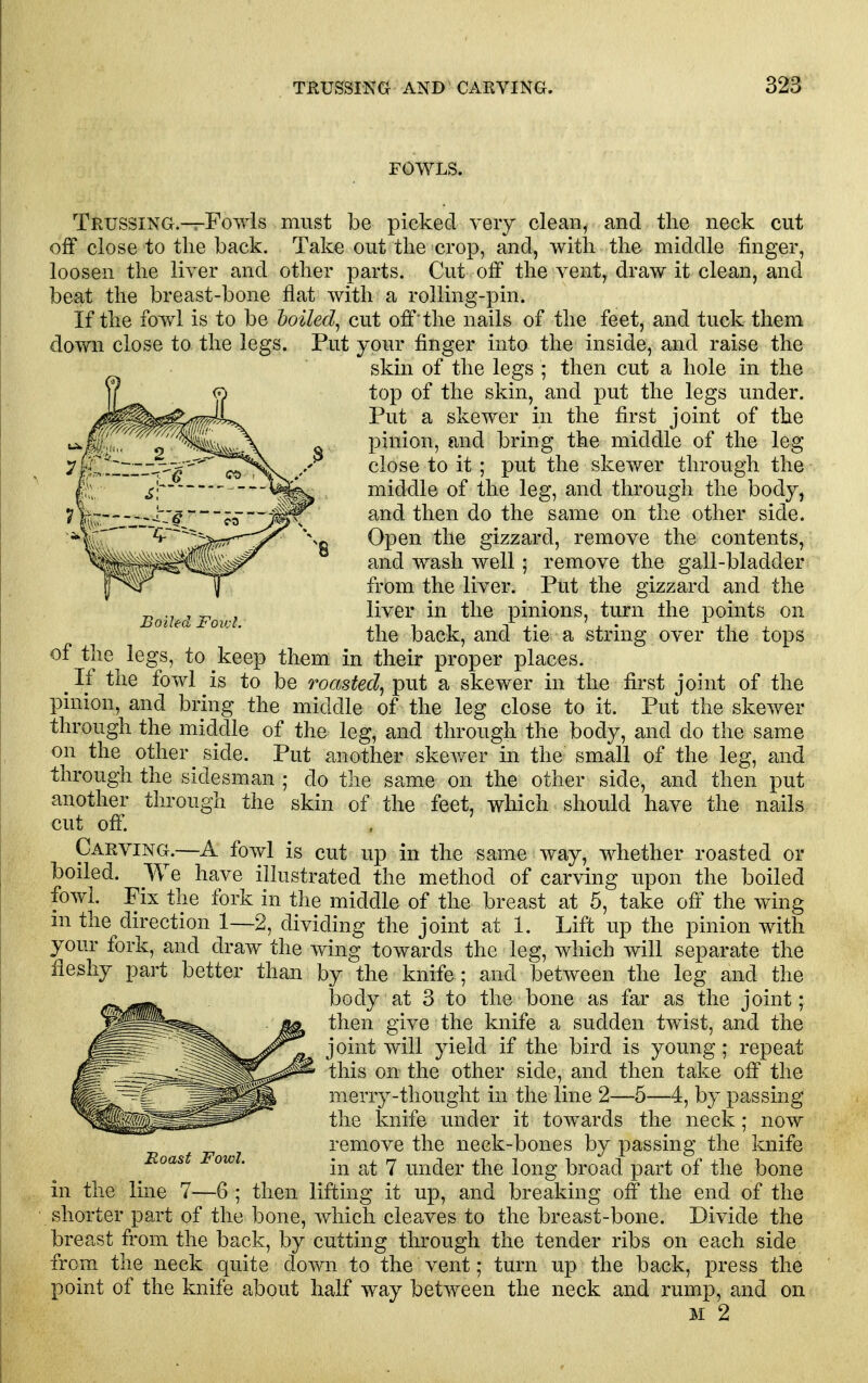 FOWLS. Trussing.-^FowIs must be picked very clean, and the neck cut off close to the back. Take out the crop, and, with the middle finger, loosen the liver and other parts. Cut off the vent, draw it clean, and beat the breast-bone flat with a rolling-pin. If the fowl is to be hoiled^ cut off'the nails of the feet, and tuck them down close to the legs. Put your finger into the inside, and raise the skin of the legs ; then cut a hole in the top of the skin, and put the legs under. Put a skewer in the first joint of the pinion, and bring the middle of the leg close to it; put the skewer through the middle of the leg, and through the body, and then do the same on the other side. Open the gizzard, remove the contents, and wash well; remove the gall-bladder from the liver. Put the gizzard and the liver in the pinions, turn the points on the back, and tie a string over the tops of the legs, to keep them in their proper places. ^ If the fowl is to be roasted^ put a skewer in the first joint of the pinion, and bring the middle of the leg close to it. Put the skewer through the middle of the leg, and through the body, and do the same on the other side. Put another skewer in the small of the leg, and through the sidesman ; do the same on the other side, and then put another through the skin of the feet, which should have the nails cut off. Carving.—A fowl is cut up in the same way, whether roasted or boiled. We have illustrated the method of carving upon the boiled fowl. Fix the fork in the middle of the breast at 5, take off the wing m the direction 1—2, dividing the joint at 1. Lift up the pinion with your fork, and draw the wing towards the leg, which will separate the fleshy part better than by the knife ; and between the leg and the body at 3 to the bone as far as the joint; then give the knife a sudden twist, and the joint will yield if the bird is young; repeat this on the other side, and then take off the merry-thought in the line 2—5—4, by passing the knife under it towards the neck; now remove the neck-bones by passing the knife in at 7 under the long broad part of the bone in the line 7—6 ; then lifting it up, and breaking off the end of the shorter part of the bone, which cleaves to the breast-bone. Divide the breast from the back, by cutting through the tender ribs on each side from the neck quite down to the vent; turn up the back, press the point of the knife about half way between the neck and rump, and on M 2 Roast Fowl.