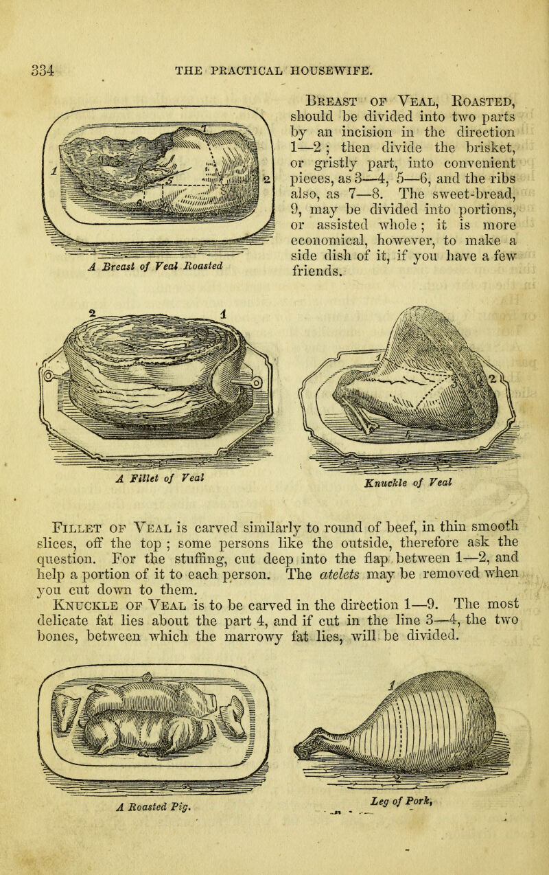 A Breast of Veal Roasted A Fillet of Veal Breast of Veal, Koasted, slioiilcl be divided into two parts by an incision in the direction 1—2 ; then divide the brisket, or gristly part, into convenient pieces, as 3—4, 5—6, and the ribs also, as 7—8. The sweet-bread, 9, may be divided into portions, or assisted whole; it is more economical, however, to make a side dish of it, if you have a few friends. KnucJcle of Veal Fillet of Veal is carved similarly to round of beef, in thin smooth slices, off the top ; some persons like the outside, therefore ask the question. For the stuffing, cut deep into the flap between 1—2, and help a portion of it to each person. The atelets may be removed when you cut down to them. Knuckle of Veal is to be carved in the direction 1—9. The most delicate fat lies about the part 4, and if cut in the line 3—4, the two bones, between which the marrowy fat lies, will be divided.