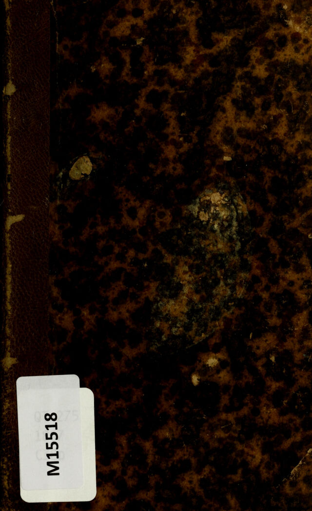 digitised image 1