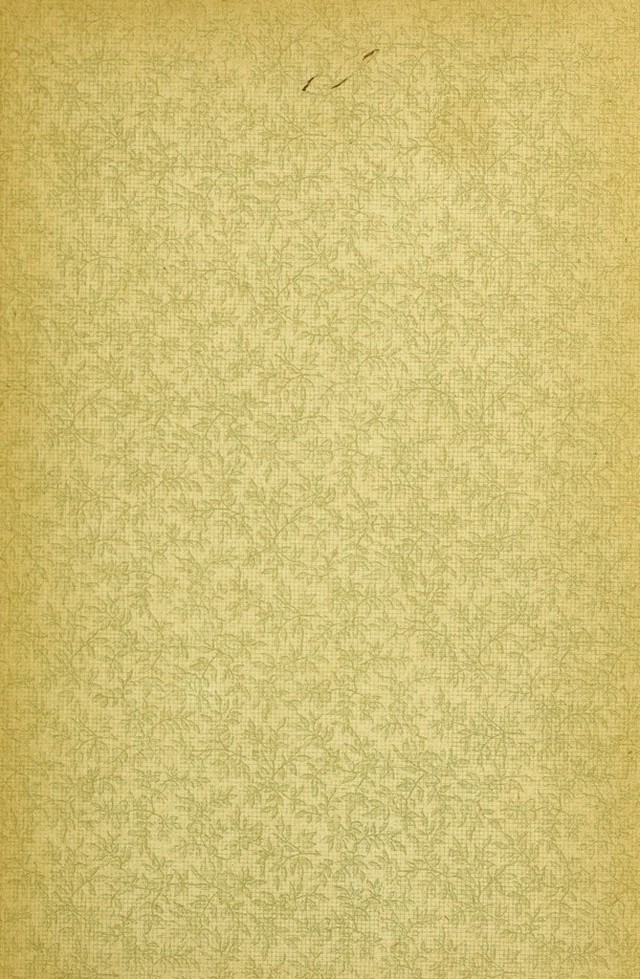 digitised image 3