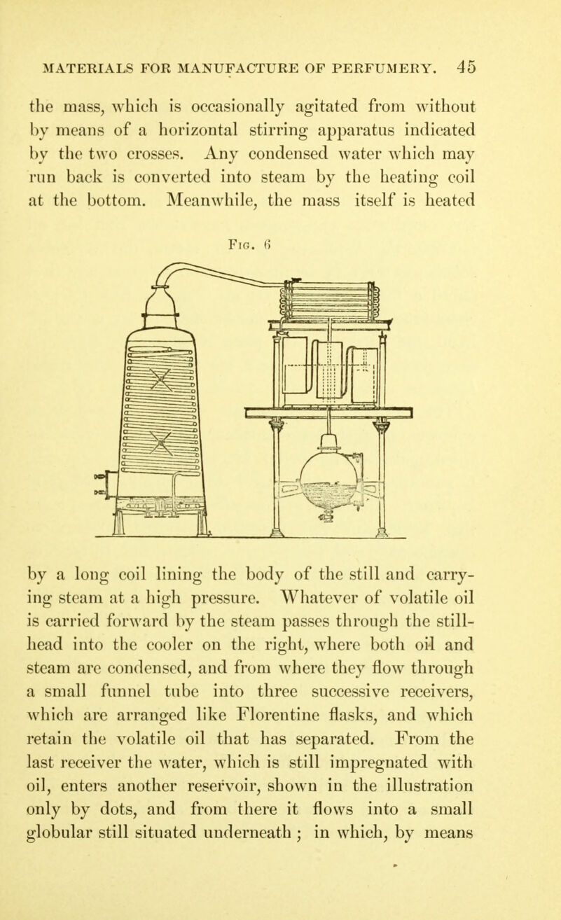 the mass^ which is occasionally agitated from without by means of a horizontal stirring apparatus indicated by the two crosses. Any condensed water which may run back is converted into steam by the heating coil at the bottom. Meanwhile, the mass itself is heated Fig. () by a long coil lining the body of the still and carry- ing steam at a high pressure. Whatever of volatile oil is carried forward by the steam passes through the still- head into the cooler on the right, where both oi-1 and steam are condensed, and from where they flow through a small funnel tube into three successive receivers, which are arranged like Florentine flasks, and which retain the volatile oil that has separated. From the last receiver the water, which is still impregnated with oil, enters another reservoir, shown in the ilhistration only by dots, and from there it flows into a small globular still situated underneath ; in which, by means