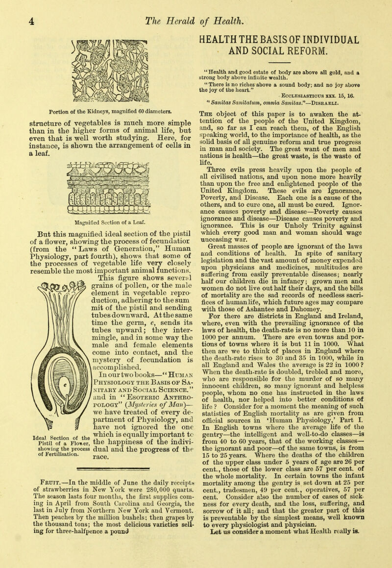 HEALTH THE BASIS OF INDIVIDUAL AND SOCIAL REFORM. Portion of the Kidneys, magnified 60 diameters. structure of vegetables is much more simple than in the higher forms of animal life, but even that is well worth studying. Here, for instance, is shown the arrangement of cells in a leaf. Magnified Section of a Leaf. But this magnified ideal section of the pistil of a flower, showing the process of f ecundatior (from the  Laws of Generation, Human Physiology, part fourth), shows that some of the processes of vegetaljle life very closely resemble the most important animal functions. This figure shows seveifil grains of pollen, or the male element in vegetable repro- duction, adhering to the sum mit of the pistil and sending tubes downward. At the same time the germ, e, sends its tubes upward; they inter- mingle, and in some way the male and female elements come into contact, and the mystery of fecundation is accomplished. In our two books—Human Physiology the Basis of Sa- nitary AND Social Science.  and in  Esoteeic Antheo- POiiOGY (Mysteries of Man)— we have treated of every de- partment of Physiology, and have not ignored the one Ideal Section of the which is equally important tc Pistil of a Fio>\er, the happmess of the mdivi- showing the process dual and the progress of the of Fertilisation. Fruit.—In the middle of June the daily receiptis of strawberries in New York were 280,000 quarts. The season lasts four months, the first supplies com- ing in April from South Carolina and Georgia, the last in July from Northern New York and Vermont. Then peaches by the million bushels; then grapes by the thousand tons; the most delicious varieties sell- ing for three-halfpence a poun(J Health and good estate of body are above all gold, and a strong body above infinite wealth.  There is no riches above a sound body; and no joy above the joy of the heart. - ECCLESIASTIOUS XXX. 15, 16.  Sanitas Sanitatum, omnia Sanitos.—Diskaeli. The object of this paper is to awaken the at- tention of the people of the United Kingdom, and, so far as I can reach them, of the English speaking world, to the importance of health, as the solid basis of all genuine reform and true progress in man and society. The great want of men and nations is health—the great waste, is the waste of Ufe. Three evils press heavily upon the people of all civiHsed nations, and upon none more heavily than upon the free and enhghtened people of the United Kingdom. These evils are Ignorance, Poverty, and Disease. Each one is a cause of the others, and to cure one, all must be cured. Ignor- ance causes poverty and disease—Poverty causes ignorance and disease—Disease causes poverty and ignorance. This is our Unholy Trinity against which every good man and woman should wage unceasing war. Great masses of people are ignorant of the laws and conditions of health. In spite of sanitary legislation and the vast amount of money expended upon physicians and medicines, multitudes are suffering from easily preventable diseases; nearly half our children die in infancy; grown men and women do not Uve out half their days, and the bills of mortality are the sad records of needless sacri- fices of human life, which future ages may compare with those of Ashantee and Dahomey. For there are districts in England and Ireland, where, even with the prevaiUng ignorance of the laws of health, the death-rate is no more than .10 in 1000 per annum. There are even towns and por- tions of towns where it is but 11 in 1000. What then are we to think of places in England where the death-rate rises to 30 and 35 in 1000, while in all England and Wales the average is 22 in 1000 ? When the death-rate is doubled, trebled and more, who are responsible for the murder of so many innocent children, so many ignorant and helpless people, whom no one has instructed in the laws of health, nor helped into better conditions of life ? Consider for a moment the meaning of such statistics of English mortality as are given from official sources in 'Human Physiology,' Part I. In English towns where the average life of the gentry—the intelligent and well-to-do classes—is from 40 to 60 years, that of the working classes— the ignorant and poor—of the same towns, is from 15 to 25 years. Where the deaths of the children of the upper class under 5 years of age are 26 per cent., those of the lower class are 67 per cent, of the whole mortahty. In certain towns the infant mortality among the gentry is set down at 25 per cent., tradesmen, 49 per cent., operatives, 57 per cent. Consider also the number of cases of sick- ness for every death, and the loss, suffering, and sorrow of it all; and that the greater part of this is preventable by the simplest means, well known to every physiologist and physician. Let us consider a moment what Health really is.