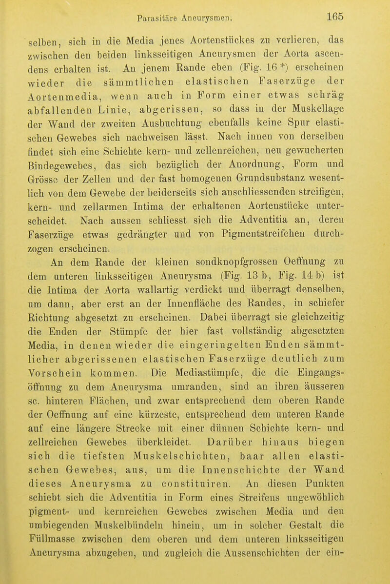 selben, sich in die Media jenes Aortenstiickes zu verlieren, das zwischen den beiden linksseitigen Aneurysmen der Aorta ascen- dens erhalten ist. An jenem Rande eben (Fig. 16 *) erscheinen wieder die sämmtlichen elastischen Faserzüge der Aortenmedia, wenn auch in Form einer etwas schräg abfallenden Linie, abgerissen, so dass in der Muskellage der Wand der zweiten Ausbuchtung ebenfalls keine Spur elasti- schen Gewebes sich nachweisen lässt. Nach innen von derselben findet sich eine Schichte kern- und zellenreicheu, neu gewucherten Bindegewebes, das sich bezüglich der Anordnung, Form und Grosso der Zellen und der fast homogenen Grundsubstanz wesent- lich von dem Gewebe der beiderseits sich anschliessenden streifigen, kern- und zellarmen Intima der erhaltenen Aortenstücke unter- scheidet. Nach aussen schliesst sich die Adventitia an, deren Faserzüge etwas gedrängter und von Pigmentstreifchen durch- zogen erscheinen. An dem Eande der kleinen sondknopfgrossen Oeffnung zu dem unteren linksseitigen Aneurysma (Fig. 13 b, Fig. 14 b) ist die Intima der Aorta wallartig verdickt und überragt denselben, um dann, aber erst an der Innenfläche des Randes, in schiefer Richtung abgesetzt zu erscheinen. Dabei überragt sie gleichzeitig die Enden der Stümpfe der hier fast vollständig abgesetzten Media, in denen wieder die eingeringelten Enden sämmt- licher abgerissenen elastischen Faserzüge deutlich zum Vorschein kommen. Die Mediastümpfe, die die Eingangs- öffnung zu dem Aneurysma umranden, sind an ihren äusseren sc. hinteren Flächen, und zwar entsprechend dem oberen Rande der Oefifiiung auf eine kürzeste, entsprechend dem unteren Rande auf eine längere Strecke mit einer dünnen Schichte kern- und zellreichen Gewebes überkleidet. Darüber hinaus biegen sich die tiefsten Muskelschichten, haar allen elasti- schen Gewebes, aus, um die Innenschichte der Wand dieses Aneurysma zu constituiren. An diesen Punkten schiebt sich die Adventitia in Form eines Streifens ungewöhlich pigment- und kernreichen Gewebes zwischen Media und den umbiegenden Muskelbündeln hinein, um in solcher Gestalt die Füllmasse zwischen dem oberen und dem unteren linksseitigen Aneurysma abzugeben, und zugleich die Aussenschichten der ein-