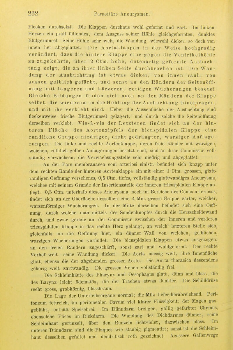 Flecken durchsetzt. Die Klappen durchaus wohl geformt und zart. Im linken Herzen ein prall füllendes, dem Ausguss seiner Höhle gleichgeformtes, dunkles Blutgerinnsel. Seine Höhle sehr weit, die Wandung, wiewohl dicker, so doch von innen her abgeplattet. Die Aortaklappen in der Weise hochgradig verändert, dass die hintere Klappe eine gegen die Ventrikelhöhle zu zugekehrte, über 2 Ctm. hohe, dütenartig geformte Ausbuch- tung zeigt, die an ihrer linken Seite durchbrochen ist. Die Wan- dung der Ausbuchtung ist etwas dicker, von innen rauh, von aussen gelblich gefärbt, und sonst an den Räudern der Seitenöff- nung mit längeren und kürzeren, zottigen Wucherungen besetzt. Gleiche Bildungen finden sich auch an den Rändern der Klappe selbst, die wiederum in die Höhlung der Ausbuchtung hineipragen, und mit ihr verklebt sind. Ueber die Aussenfläche der Ausbuchtung sind fleckenweise frische Blutgerinnsel gelagert,' und durch solche die Seitenöflftiung derselben verklebt. Vis-ä-vis der Letzteren findet sich an der hin- teren Fläche des Aortenzipfels der bicuspidalen Klappe eine rundliche Grupipe niedriger, dicht gedrängter, warziger Auflage- rungen. Die linke und rechte Aortenklappe, deren freie Ränder mit warzigen, weichen, röthlich-gelben Auflagerungen besetzt sind, sind an ihrer Commissur voll- ständig verwachsen; die Verwachsmigsstelle sehr niedrig imd abgeglättet. An der Pars membranacea coni arteriosi sinistr. befindet sich knapp unter dem rechten Rande der hinteren Aortenklappe ein mit einer 1 Ctm. grossen, glatt- randigen Oeffnung versehenes, 0,5 Ctm. tiefes, vollständig glattwandiges Aneurysma, welches mit seinem Grunde der Insertionsstelle der inneren tricuspidalen Klappe an- liegt. 0,5 Ctm. unterhalb dieses Aneurysma, noch im Bereiche des Conus arteriosus, findet sich an der Oberfläche desselben eine 4 Mm. grosse Gruppe zarter, weicher, warzenförmiger Wucherungen. In der Mitte derselben befindet sich eine Oeff- nung, dm'ch welche man mittels des Sondenknopfes durch die Herzscheidewand durch, und zwar gerade an der Commissur zwischen der inneren und vorderen tricuspidalen Klappe in das rechte Herz gelangt, an welch' letzteren Stelle sich, gleichfalls um die Oeffnung hier, ein dünner Wall von weichen, gelblichen, warzigen Wucherungen vorfindet. Die bicuspidalen Klappen etwas ausgezogen, an den fi-eien Rändern zugeschärft, sonst zart und wohlgeformt. Der rechte Vorhof weit, seine Wandung dicker. Die Aorta massig weit, ihre Innenfläche glatt, ebenso die der abgehenden gi-ossen Aeste. Die Aorta thoracica descendens gehörig weit, zartwandig. Die grossen Venen vollständig frei. Die Schleimhäute des Pharynx und Oesophagus glatt, dünn und blass, die des Larynx leicht ödematös, die der Trachea etwas dimkler. Die Schilddrüse recht gross, grobkörnig, blassbraun. Die Lage der Unterleibsorgane normal; die Milz tiefer herabreichend. Peri- toneum fettreich, im peritonealen Cavum viel klarer Flüssigkeit; der Magen gas- gebläht, enthält Speisebrei. Im Dünndarm breiiger, gallig gefärbter Cliymus, ebensolche Fäces im Dickdarm. Die Wandimg des Dickdarmes dünner, seine Schleimhaut gerunzelt, über den Runzeln lichtviolet, dazwischen blass. Im unteren Dünndarm sind die Plaques ^vie staubig pigmentirt; sonst ist die Schleim- haut desselben gefaltet und dendritisch roth gezeichnet. Aeussere Gallenwege