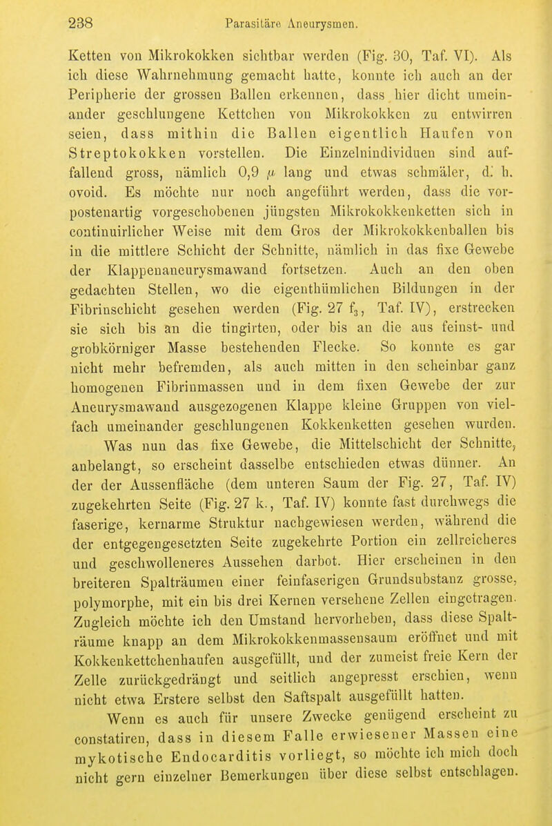 Ketten von Mikrokokken sichtbar werden (Fig. 30, Taf. VI). Als ich diese Wahrnehmung gemacht hatte, konnte ich auch an der Peripherie der grossen Ballen erkennen, dass hier dicht umein- ander geschlungene Kettchen von Mikrokokken zu entwirren seien, dass mithin die Ballen eigentlich Haufen von Streptokokken vorstellen. Die Einzelnindividuen sind auf- fallend gross, nämlich 0,9 ,«/ lang und etwas schmäler, d'. h. ovoid. Es möchte nur noch angeführt werden, dass die vor- postenartig vorgeschobenen jüngsten Mikrokokkeuketten sich in continuirlicher Weise mit dem Gros der Mikrokokkenballen bis in die mittlere Schicht der Schnitte, nämlich in das fixe Gewebe der Klappenaneurysmawand fortsetzen. Auch an den oben gedachten Stellen, wo die eigenthümlichen Bildungen in der Fibrinschicht gesehen werden (Fig. 27 fg, Taf. IV), erstrecken sie sich bis an die tingirten, oder bis an die aus feinst- und grobkörniger Masse bestehenden Flecke. So konnte es gar nicht mehr befremden, als auch mitten in den scheinbar ganz homogenen Fibriumassen und in dem fixen Gewebe der zur Aneurysmawand ausgezogenen Klappe kleine Gruppen von viel- fach umeinander geschlungenen Kokkeuketten gesehen wurden. Was nun das fixe Gewebe, die Mittelschicht der Schnitte, anbelangt, so erscheint dasselbe entschieden etwas dünner. An der der Aussenfläche (dem unteren Saum der Fig. 27, Taf. IV) zugekehrten Seite (Fig. 27 k., Taf. IV) konnte fast durchwegs die faserige, kernarme Struktur nachgewiesen werden, während die der entgegengesetzten Seite zugekehrte Portion ein zellreicheres und geschwolleneres Aussehen darbot. Hier erscheinen in den breiteren Spalträumen einer feinfaserigen Grundsubstanz grosse, polymorphe, mit ein bis drei Kernen versehene Zellen eingetragen. Zugleich möchte ich den Umstand hervorheben, dass diese Spalt- räume knapp an dem Mikrokokkenmassensaum eröiTnet und mit Kokkenkettchenhaufen ausgefüllt, und der zumeist freie Kern der Zelle zurückgedrängt und seitlich angepresst erschien, wenn nicht etwa Erstere selbst den Saftspalt ausgefüllt hatten. Wenn es auch für unsere Zwecke genügend erscheint zu constatiren, dass in diesem Falle erwiesener Massen eine mykotische Endocarditis vorliegt, so möchte ich mich doch nicht gern einzelner Bemerkungen über diese selbst entschlageu.