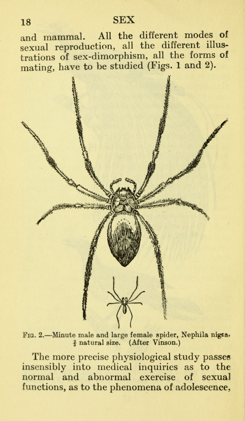 and mammal. All the different modes of sexual reproduction, all the different illus- trations of sex-dimorphism, all the forms of mating, have to be studied (Figs. 1 and 2). Fia. 2.—Minute male and large female spider, Nephila nigca* $ natural size. (After Vinson.) The more precise physiological study passes insensibly into medical inquiries as to the normal and abnormal exercise of sexual functions, as to the phenomena of adolescence,