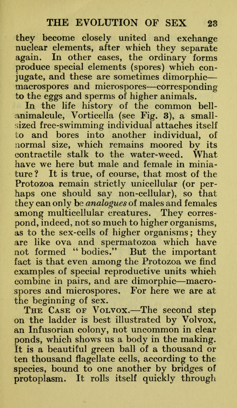 they become closely united and exchange nuclear elements, after which they separate again. In other cases, the ordinary forms produce special elements (spores) which con- jugate, and these are sometimes dimorphic— macrospores and microspores—corresponding to the eggs and sperms of higher animals. In the life history of the common bell- rmimalcule, Vorticella (see Fig. 3), a small- sized free-swimming individual attaches itself to and bores into another individual, of normal size, which remains moored by its contractile stalk to the water-weed. What have we here but male and female in minia- ture ? It is true, of course, that most of the Protozoa remain strictly unicellular (or per- haps one should say non-cellular), so that they can only be analogues of males and females among multicellular creatures. They corres- pond, indeed, not so much to higher organisms, as to the sex-cells of higher organisms; they are like ova and spermatozoa which have not formed  bodies. But the important fact is that even among the Protozoa we find examples of special reproductive units which combine in pairs, and are dimorphic—macro- spores and microspores. For here we are at the beginning of sex. The Case of Volvox.—The second step on the ladder is best illustrated by Volvox, an Infusorian colony, not uncommon in clear ponds, which shows us a body in the making. It is a beautiful green ball of a thousand or ten thousand flagellate cells, according to the species, bound to one another by bridges of protoplasm. It rolls itself quickly through