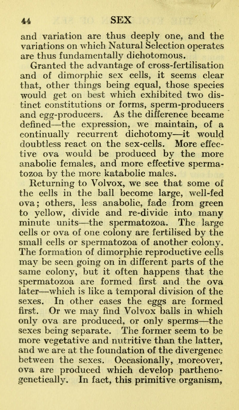 and variation are thus deeply one, and the variations on which Natural Selection operates are thus fundamentally dichotomous. Granted the advantage of cross-fertilisation and of dimorphic sex cells, it seems clear that, other things being equal, those species would get on best which exhibited two dis- tinct constitutions or forms, sperm-producers and egg-producers. As the difference became defined—the expression, we maintain, of a continually recurrent dichotomy—it would doubtless react on the sex-cells. More effec- tive ova would be produced by the more anabolic females, and more effective sperma- tozoa by the more katabolic males. Returning to Volvox, we see that some of the cells in the ball become large, well-fed ova; others, less anabolic, fade from green to yellow, divide and re-divide into many minute units—the spermatozoa. The large cells or ova of one colony are fertilised by the small cells or spermatozoa of another colony. The formation of dimorphic reproductive cells may be seen going on in different parts of the same colony, but it often happens that the spermatozoa are formed first and the ova later—which is like a temporal division of the sexes. In other cases the eggs are formed first. Or we may find Volvox balls in which only ova are produced, or only sperms—the sexes being separate. The former seem to be more vegetative and nutritive than the latter, and we are at the foundation of the divergence between the sexes. Occasionally, moreover, ova are produced which develop partheno- genetically. In fact, this primitive organism,