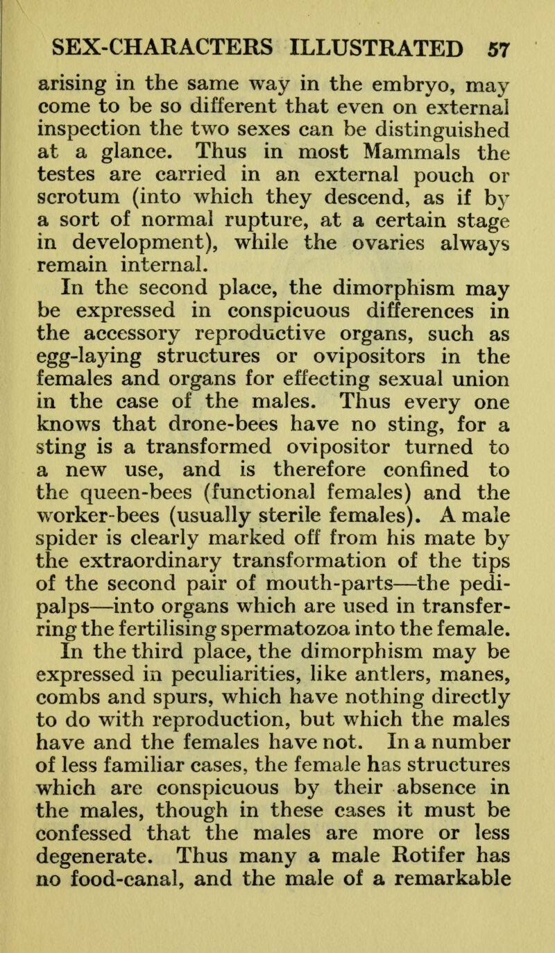 arising in the same way in the embryo, may come to be so different that even on external inspection the two sexes can be distinguished at a glance. Thus in most Mammals the testes are carried in an external pouch or scrotum (into which they descend, as if by a sort of normal rupture, at a certain stage in development), while the ovaries always remain internal. In the second place, the dimorphism may be expressed in conspicuous differences in the accessory reproductive organs, such as egg-laying structures or ovipositors in the females and organs for effecting sexual union in the case of the males. Thus every one knows that drone-bees have no sting, for a sting is a transformed ovipositor turned to a new use, and is therefore confined to the queen-bees (functional females) and the worker-bees (usually sterile females). A male spider is clearly marked off from his mate by the extraordinary transformation of the tips of the second pair of mouth-parts—the pedi- palps—into organs which are used in transfer- ring the fertilising spermatozoa into the female. In the third place, the dimorphism may be expressed in peculiarities, like antlers, manes, combs and spurs, which have nothing directly to do with reproduction, but which the males have and the females have not. In a number of less familiar cases, the female has structures which are conspicuous by their absence in the males, though in these cases it must be confessed that the males are more or less degenerate. Thus many a male Rotifer has no food-canal, and the male of a remarkable