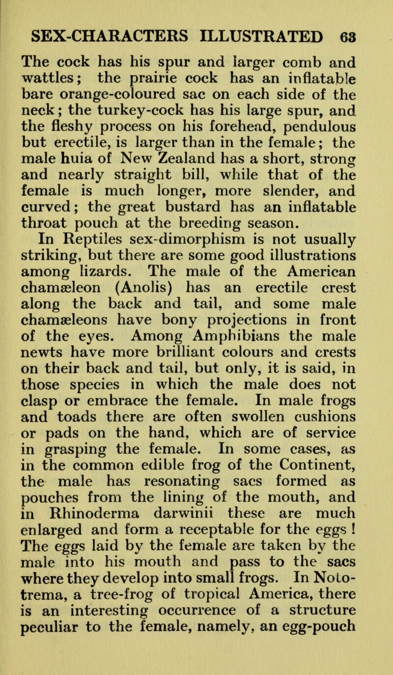 The cock has his spur and larger comb and wattles; the prairie cock has an inflatable bare orange-coloured sac on each side of the neck; the turkey-cock has his large spur, and the fleshy process on his forehead, pendulous but erectile, is larger than in the female; the male huia of New Zealand has a short, strong and nearly straight bill, while that of the female is much longer, more slender, and curved; the great bustard has an inflatable throat pouch at the breeding season. In Reptiles sex-dimorphism is not usually striking, but there are some good illustrations among lizards. The male of the American chamasleon (Anolis) has an erectile crest along the back and tail, and some male chamaeleons have bony projections in front of the eyes. Among Amphibians the male newts have more brilliant colours and crests on their back and tail, but only, it is said, in those species in which the male does not clasp or embrace the female. In male frogs and toads there are often swollen cushions or pads on the hand, which are of service in grasping the female. In some cases, as in the common edible frog of the Continent, the male has resonating sacs formed as pouches from the lining of the mouth, and in Rhinoderma darwinii these are much enlarged and form a receptable for the eggs ! The eggs laid by the female are taken by the male into his mouth and pass to the sacs where they develop into small frogs. In Noto- trema, a tree-frog of tropical America, there is an interesting occurrence of a structure peculiar to the female, namely, an egg-pouch