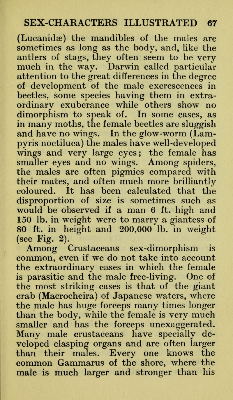 (Lucanidse) the mandibles of the males are sometimes as long as the body, and, like the antlers of stags, they often seem to be very much in the way. Darwin called particular attention to the great differences in the degree of development of the male excrescences in beetles, some species having them in extra- ordinary exuberance while others show no dimorphism to speak of. In some cases, as in many moths, the female beetles are sluggish and have no wings. In the glow-worm (Lam- pyris noctiluca) the males have well-developed wings and very large eyes; the female has smaller eyes and no wings. Among spiders, the males are often pigmies compared with their mates, and often much more brilliantly coloured. It has been calculated that the disproportion of size is sometimes such as would be observed if a man 6 ft. high and 150 lb. in weight were to marry a giantess of 80 ft. in height and 200,000 lb. in weight (see Fig. 2). Among Crustaceans sex-dimorphism is common, even if we do not take into account the extraordinary cases in which the female is parasitic and the male free-living. One of the most striking cases is that of the giant crab (Macrocheira) of Japanese waters, where the male has huge forceps many times longer than the body, while the female is very much smaller and has the forceps unexaggerated. Many male crustaceans have specially de- veloped clasping organs and are often larger than their males. Every one knows the common Gammarus of the shore, where the male is much larger and stronger than his
