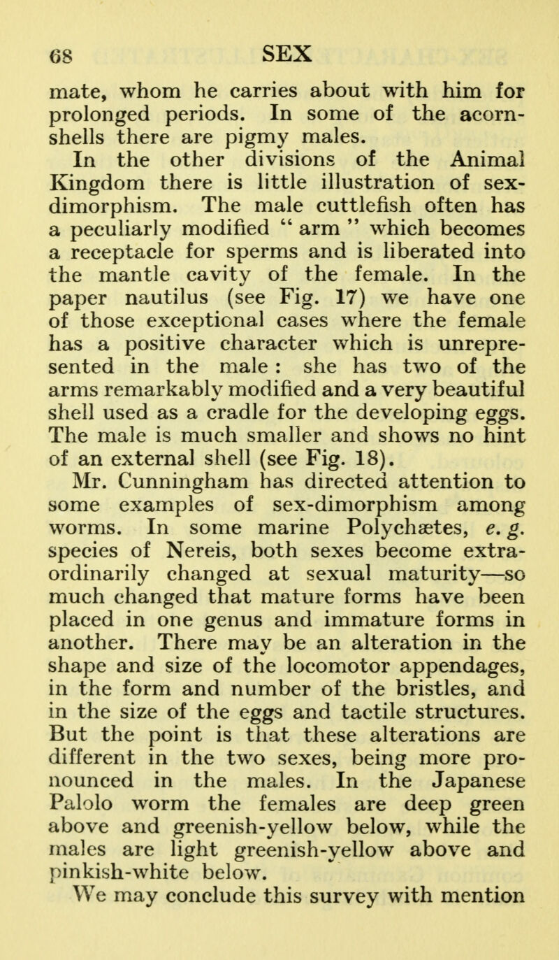 mate, whom he carries about with him for prolonged periods. In some of the acorn- shells there are pigmy males. In the other divisions of the Animal Kingdom there is little illustration of sex- dimorphism. The male cuttlefish often has a peculiarly modified  arm 99 which becomes a receptacle for sperms and is liberated into the mantle cavity of the female. In the paper nautilus (see Fig. 17) we have one of those exceptional cases where the female has a positive character which is unrepre- sented in the male : she has two of the arms remarkably modified and a very beautiful shell used as a cradle for the developing eggs. The male is much smaller and shows no hint of an external shell (see Fig. 18). Mr. Cunningham has directed attention to some examples of sex-dimorphism among worms. In some marine Polychaetes, e. g. species of Nereis, both sexes become extra- ordinarily changed at sexual maturity—so much changed that mature forms have been placed in one genus and immature forms in another. There may be an alteration in the shape and size of the locomotor appendages, in the form and number of the bristles, and in the size of the eggs and tactile structures. But the point is that these alterations are different in the two sexes, being more pro- nounced in the males. In the Japanese Palolo worm the females are deep green above and greenish-yellow below, while the males are light greenish-yellow above and pinkish-white below. We may conclude this survey with mention