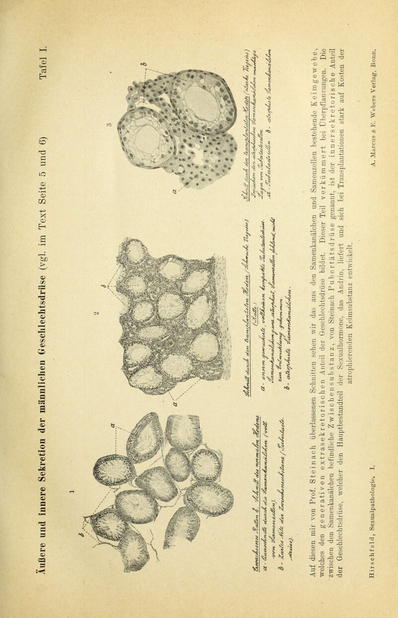 C+-I cd EH CO TS Ö 3 lO CD • i—i Cü Cd -(J> X © EH Qß > := s- cid — = e» -=S .2 s s :ss a a © •pH u M cj 0) - a = *i a s - - CS s Kl 1 , i l I Ii ^> O -g TS * a .8 CD CD w CO m a « s g S 33 § £ Ol CD P ^ CD :p 'S CO CD CO „O cd J= a 5 © =3 fl . es Ol ö Sh —. «4 _ CB u es • '~ f-i CO cd j_r. TS > C 'S a H CD . ja 3 CD CD 5 -° cS a ja CD O CD co ^ io « ä :cs ,fD :3 B Ii TS -p ,|J » 3 3 a CD — fl a> ••«« .2 o es 2 —< '5 a a — CD a _5 CD _. _ TS CG fl TS Nj :2 ^ J2 a ; e co c] d 3 a ts 35 * a % 'S d § M o ja CO es es CD JS 5  ja - . o CO S fl n CD CD ja ts CD CD , 2 TS 3 § .§ cc CO 3, JS . P a — ™ ~ ja - x — CD CD _ CO rt i—i CD »Q a S -a CD 1« CO £ u l> CO E> CD CD K g, -S J< CD 3 cd ja es CO ^ M CS -r-t 59 J3 o es a a a iE CD X a3 TS CD J= — a a 2 a cd ja CD J3 ü > S © «s fe « a ^ cS es CO c Ä a o a a _ CD o CO fl to CD CO 0) CD 53 | °0 y., CD CO <q p N TS CD 5 CD CS bfiCO S CD £. Ts CD CO :_fl CO 4-» ja o CD tii -4 6C o