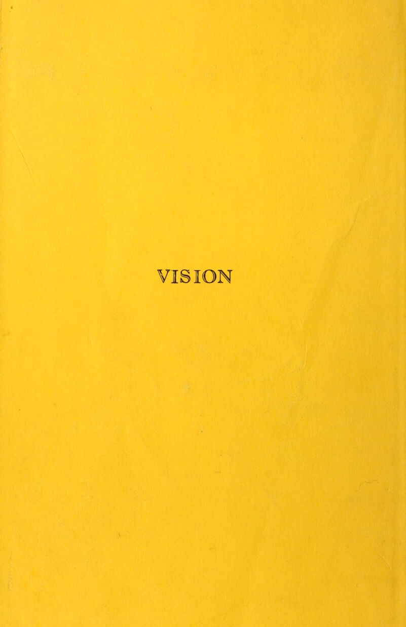 VISION