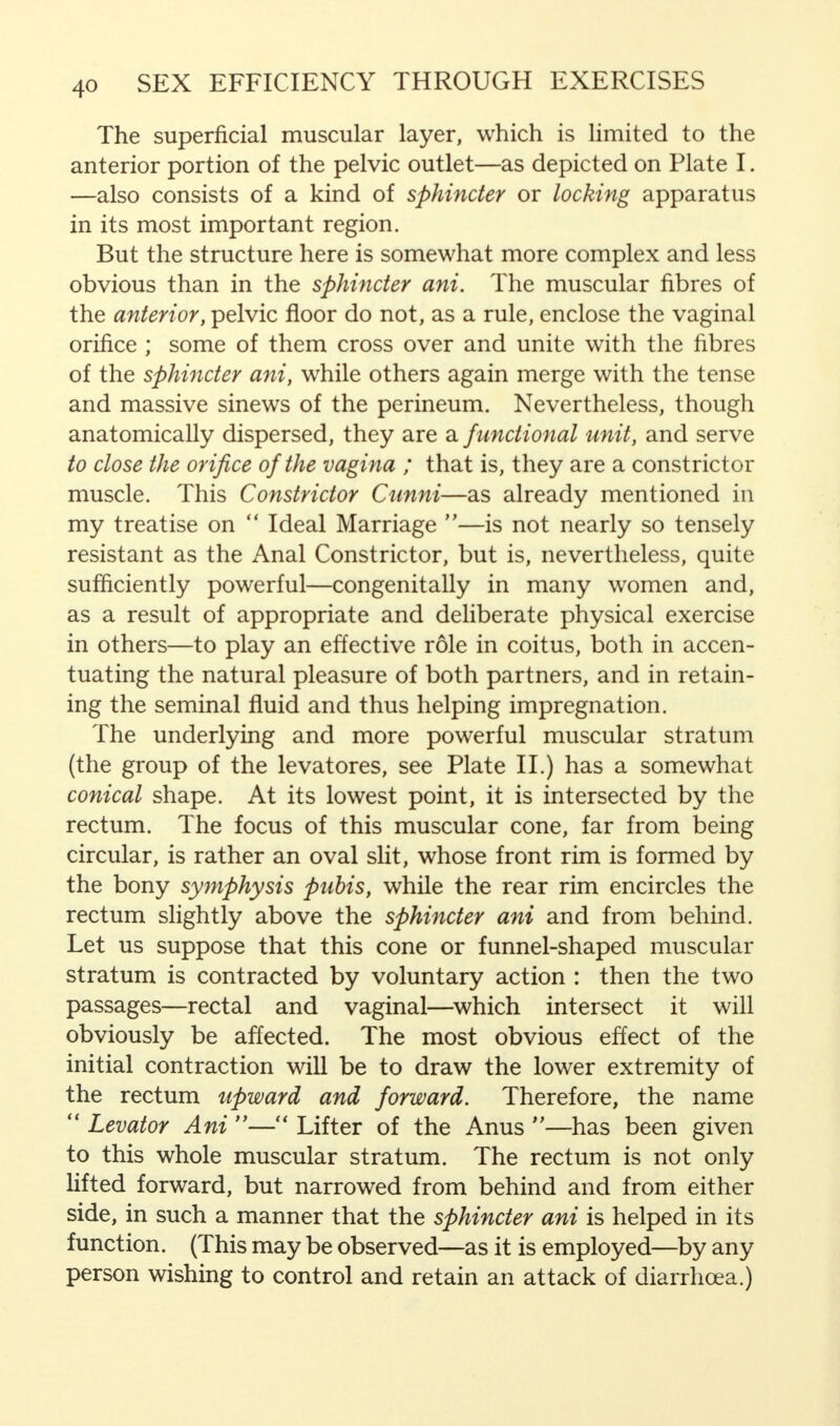 The superficial muscular layer, which is limited to the anterior portion of the pelvic outlet—as depicted on Plate I. —also consists of a kind of sphincter or locking apparatus in its most important region. But the structure here is somewhat more complex and less obvious than in the sphincter ani. The muscular fibres of the anterior, pelvic floor do not, as a rule, enclose the vaginal orifice ; some of them cross over and unite with the fibres of the sphincter ani, while others again merge with the tense and massive sinews of the perineum. Nevertheless, though anatomically dispersed, they are a functional unit, and serve to close the orifice of the vagina ; that is, they are a constrictor muscle. This Constrictor Cunni—as already mentioned in my treatise on Ideal Marriage —is not nearly so tensely resistant as the Anal Constrictor, but is, nevertheless, quite sufficiently powerful—congenitally in many women and, as a result of appropriate and deliberate physical exercise in others—to play an effective role in coitus, both in accen- tuating the natural pleasure of both partners, and in retain- ing the seminal fluid and thus helping impregnation. The underlying and more powerful muscular stratum (the group of the levatores, see Plate II.) has a somewhat conical shape. At its lowest point, it is intersected by the rectum. The focus of this muscular cone, far from being circular, is rather an oval slit, whose front rim is formed by the bony symphysis pubis, while the rear rim encircles the rectum slightly above the sphincter ani and from behind. Let us suppose that this cone or funnel-shaped muscular stratum is contracted by voluntary action : then the two passages—rectal and vaginal—which intersect it will obviously be affected. The most obvious effect of the initial contraction will be to draw the lower extremity of the rectum upward and forward. Therefore, the name Levator Ani — Lifter of the Anus —has been given to this whole muscular stratum. The rectum is not only lifted forward, but narrowed from behind and from either side, in such a manner that the sphincter ani is helped in its function. (This may be observed—as it is employed—by any person wishing to control and retain an attack of diarrhoea.)