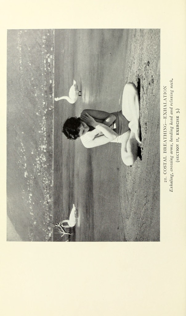link to previous page