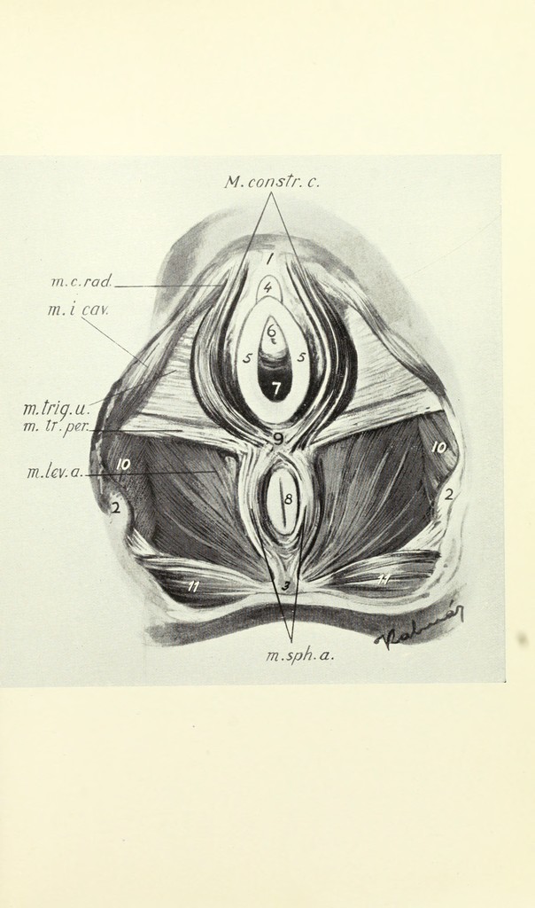 link to next page