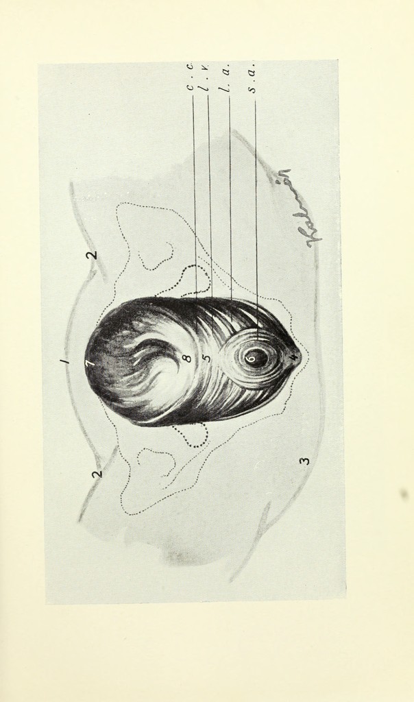 link to previous page