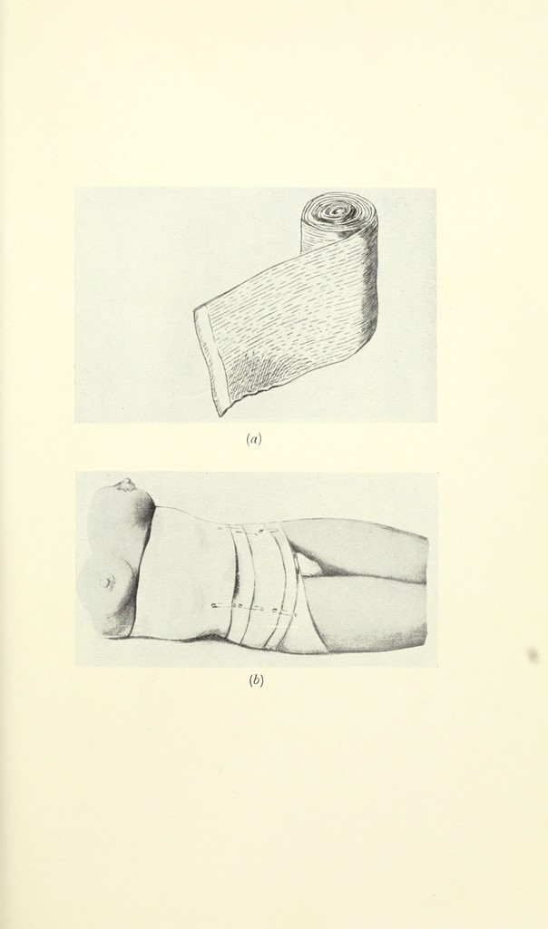 link to previous page