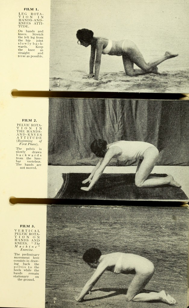 link to previous page