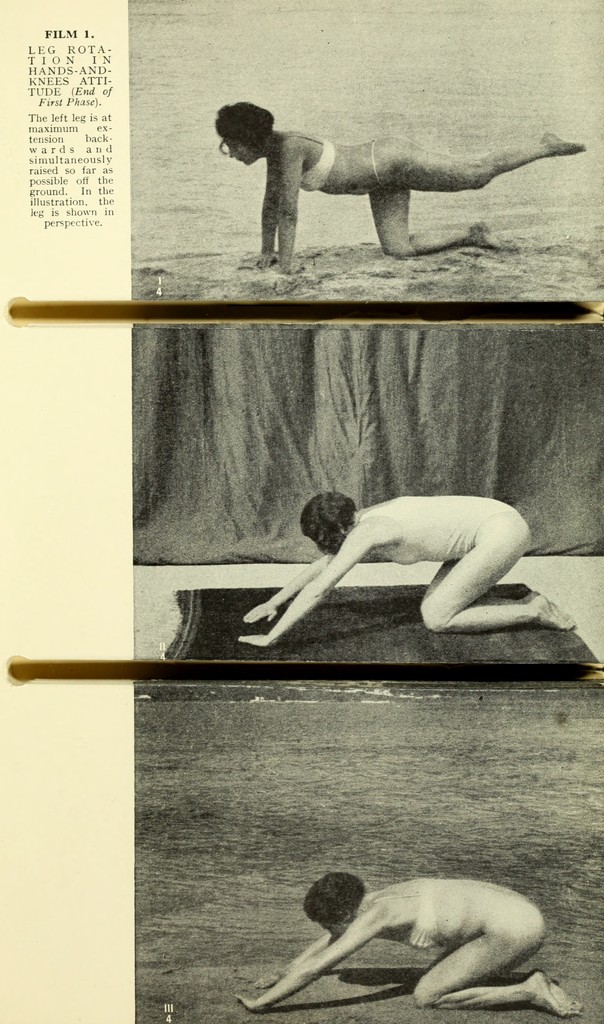 link to previous page
