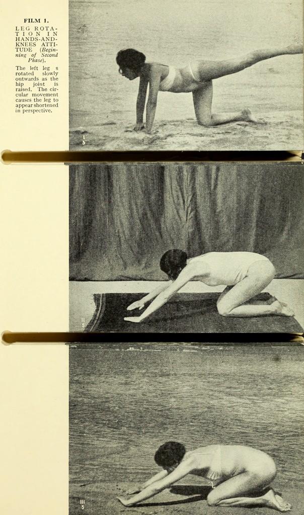 link to previous page