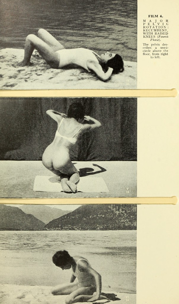 link to previous page