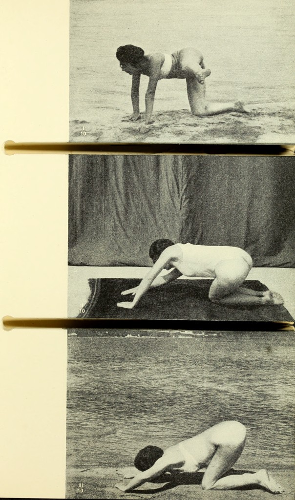 link to previous page