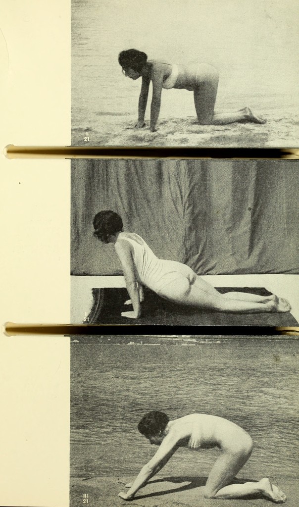 link to previous page