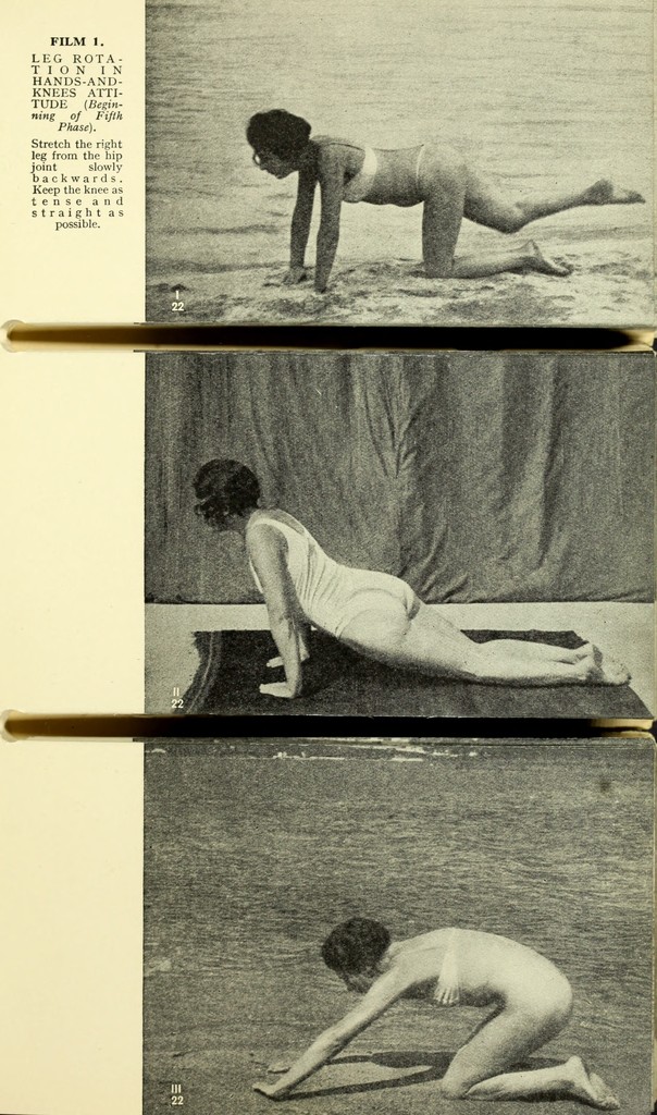 link to previous page