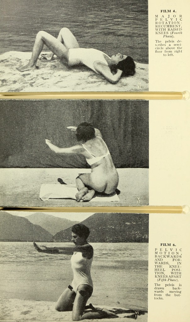 link to previous page