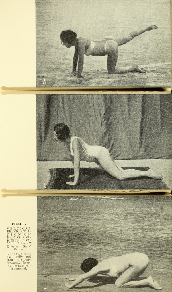 link to previous page