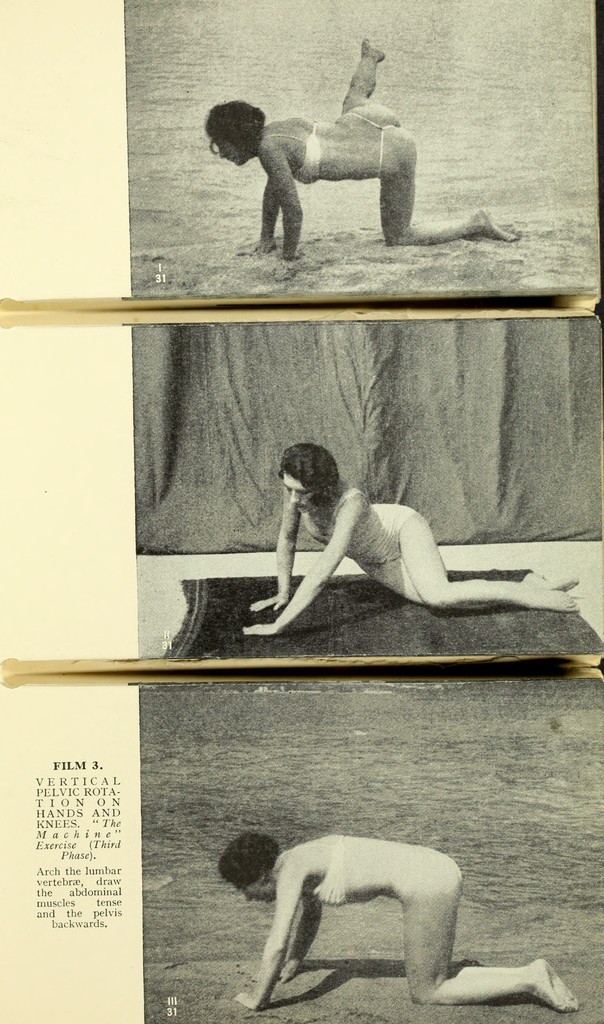 link to previous page