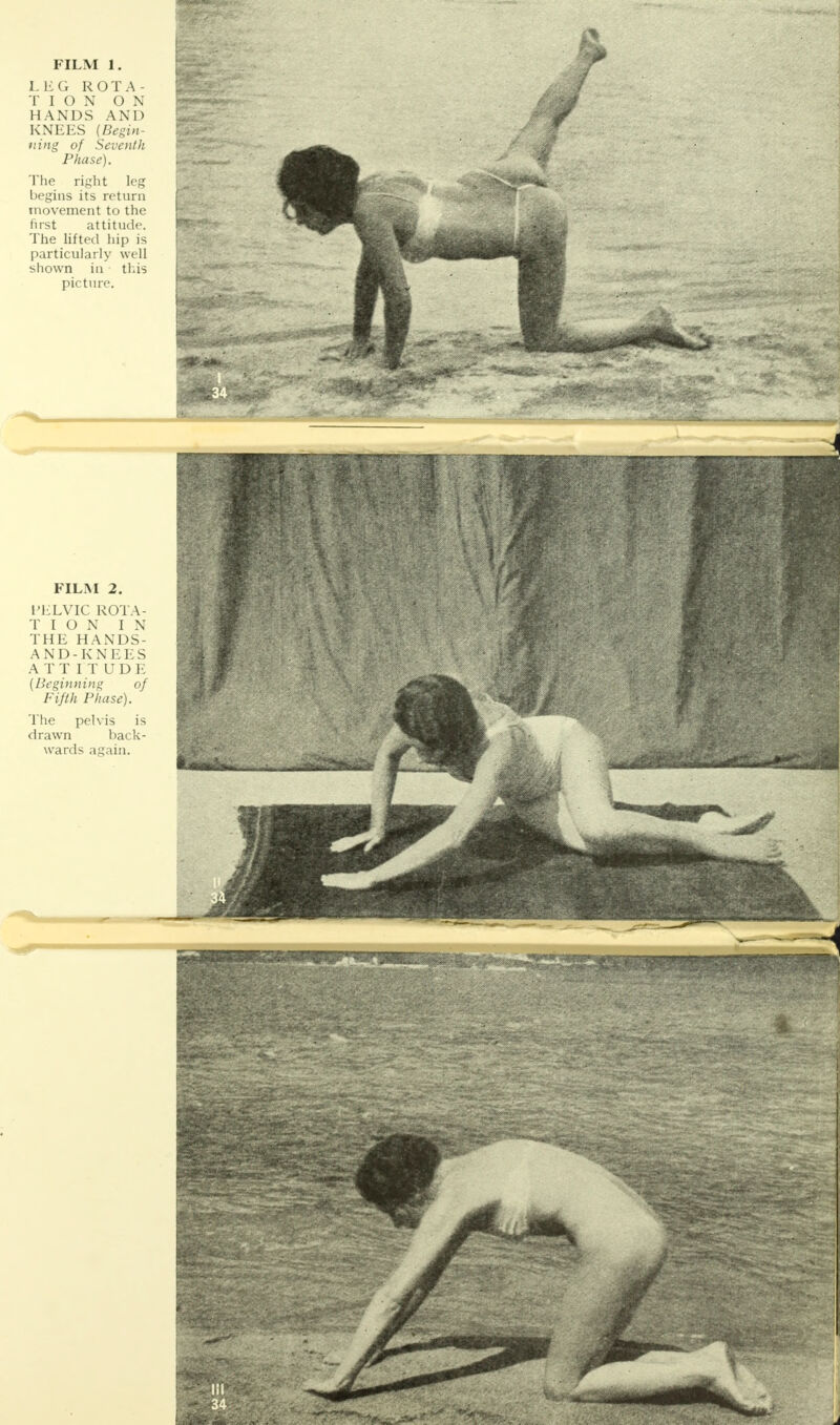 LEG ROTA- TION ON HANDS A N 11 KNEES {Begin- ning of Seventh Phase). The right leg begins its return movement to the first attitude. The lifted hip is particularly well shown in this picture. FILM 2. 1JELVIC ROTA- T I O N IN THE HANDS- AND-KNEES ATTITUDE {Beginning of Fifth Phase). The pelvis is drawn back- wards again.